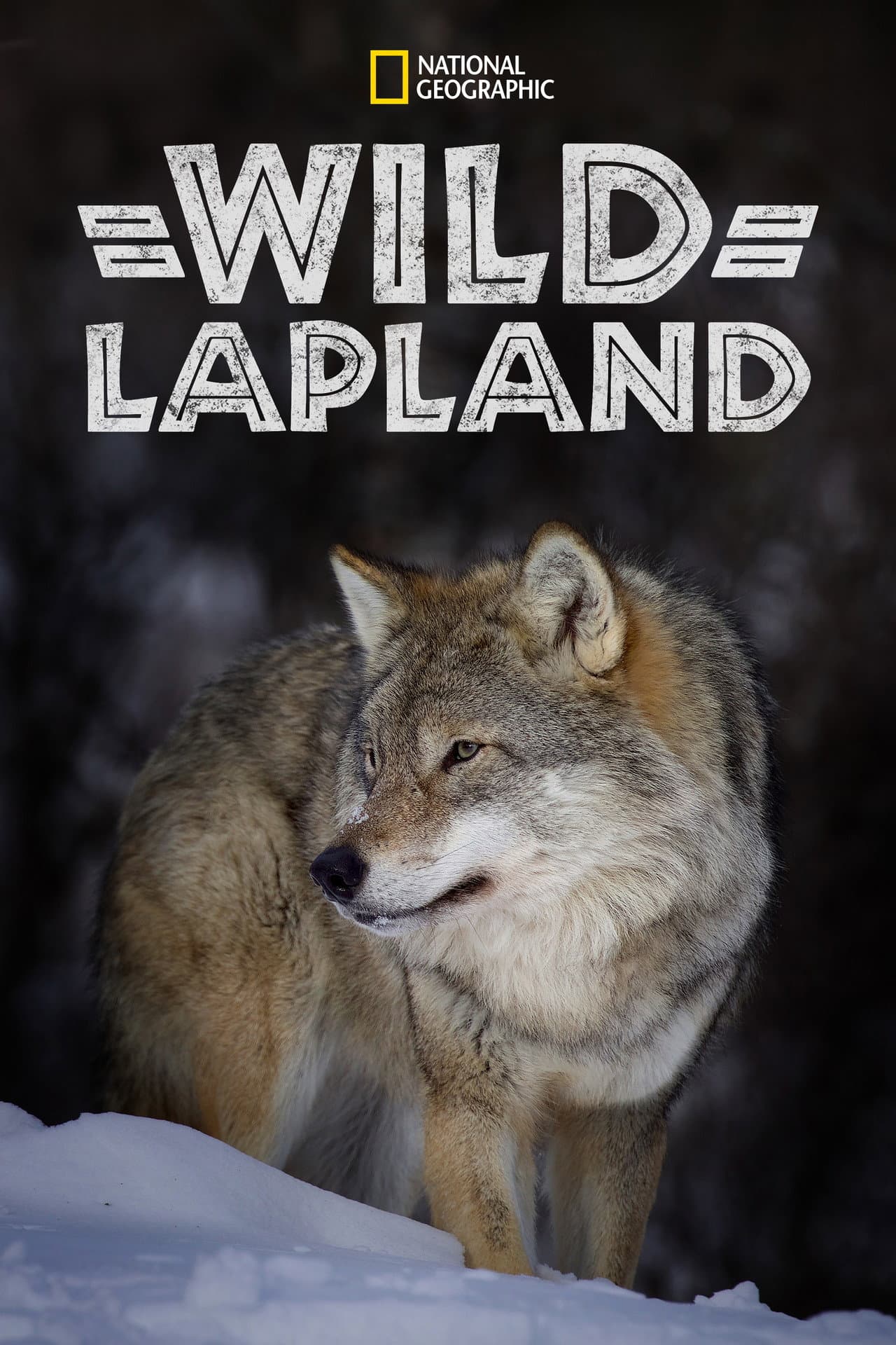 Wild Lapland preview 2