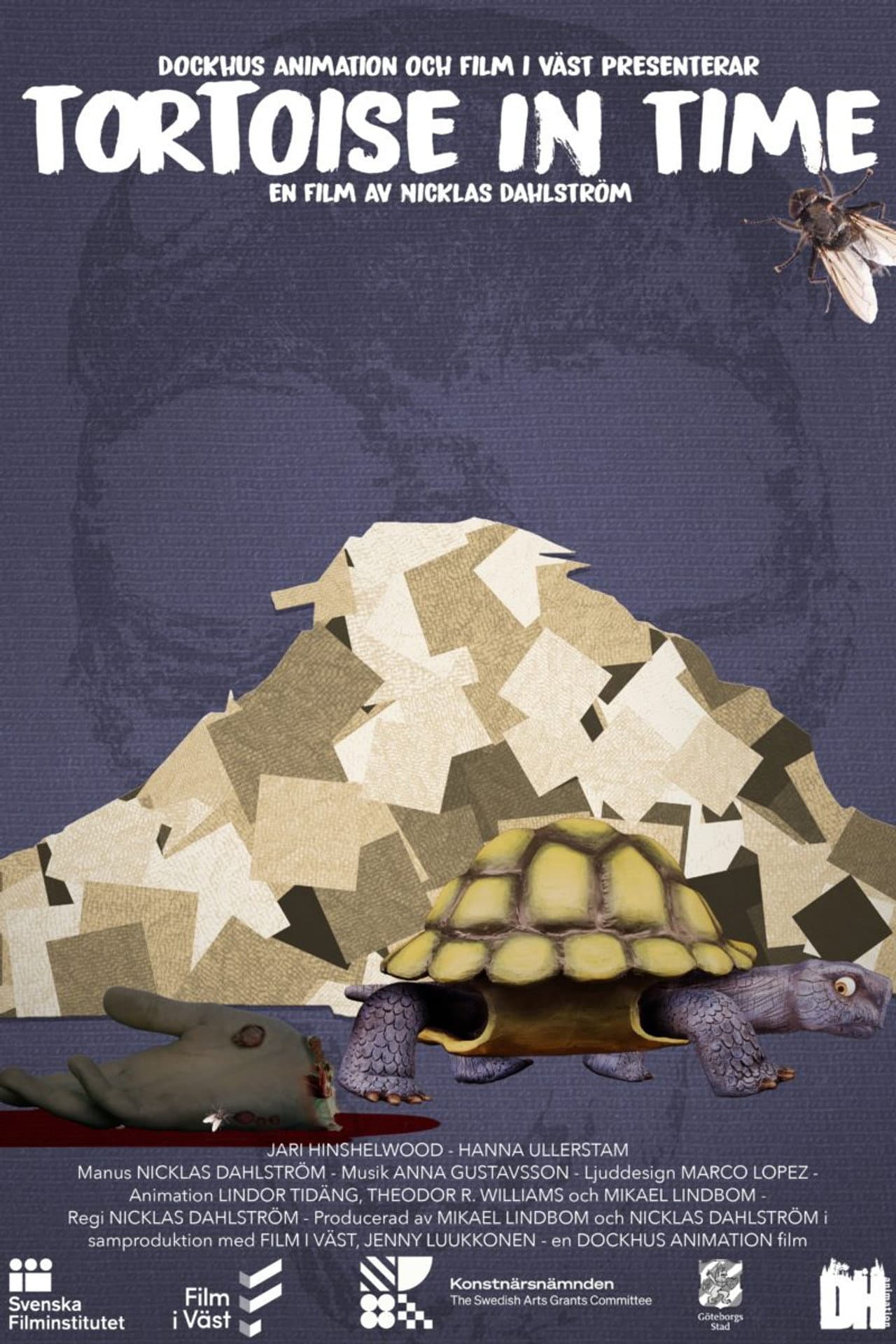 Tortoise in Time preview 1