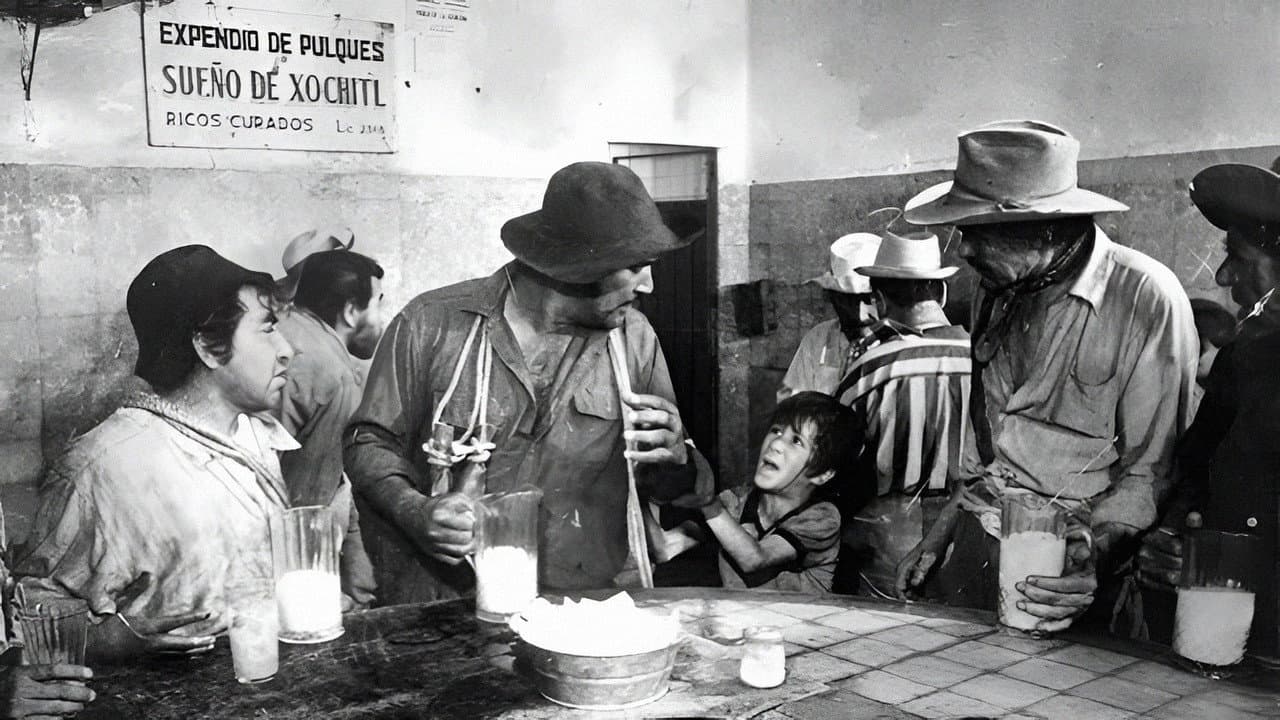 The Bricklayers