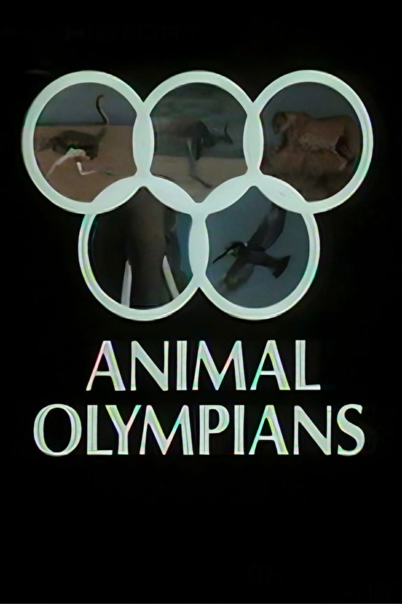 Animal Olympians preview 1