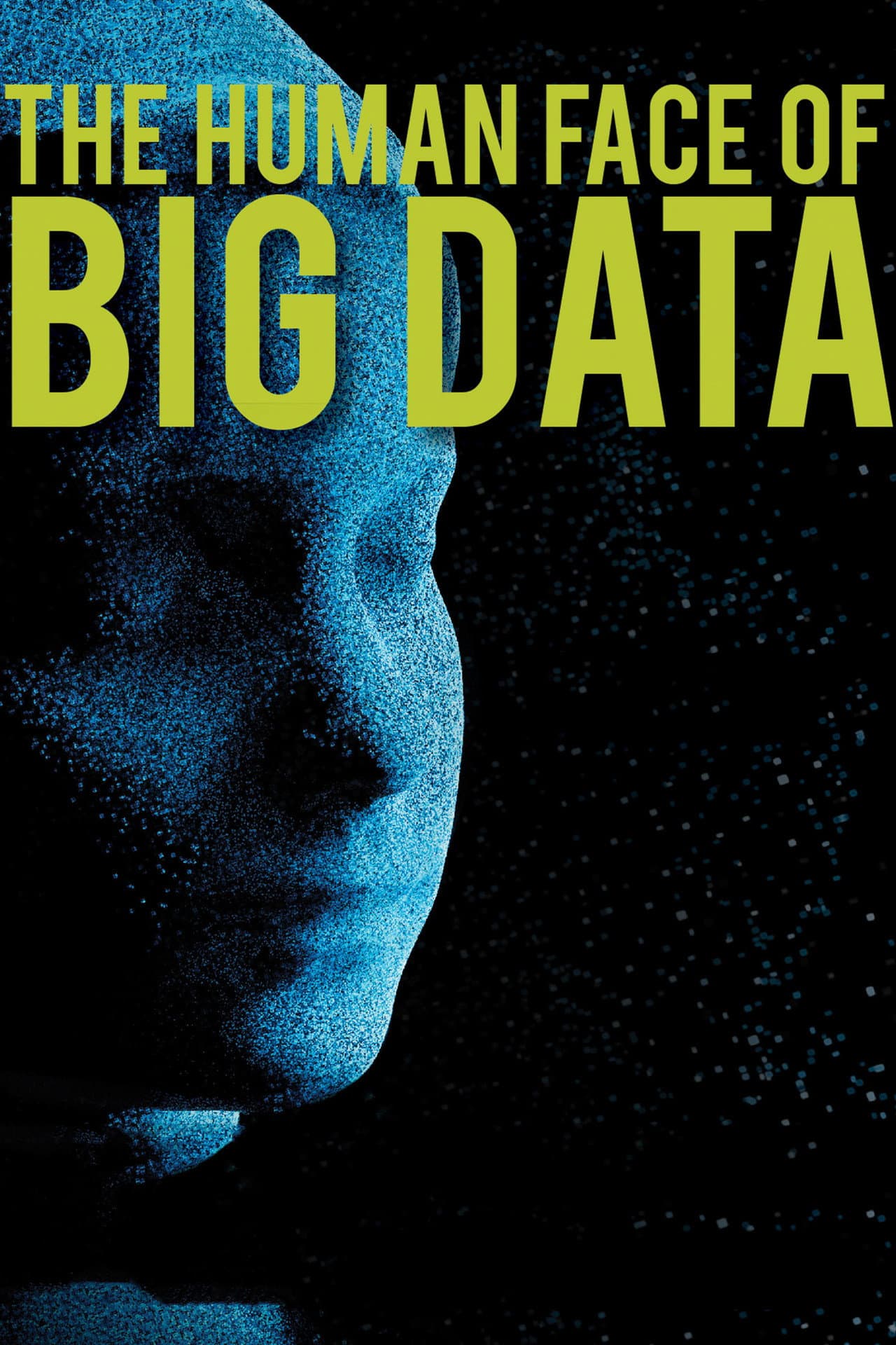 The Human Face of Big Data preview 2
