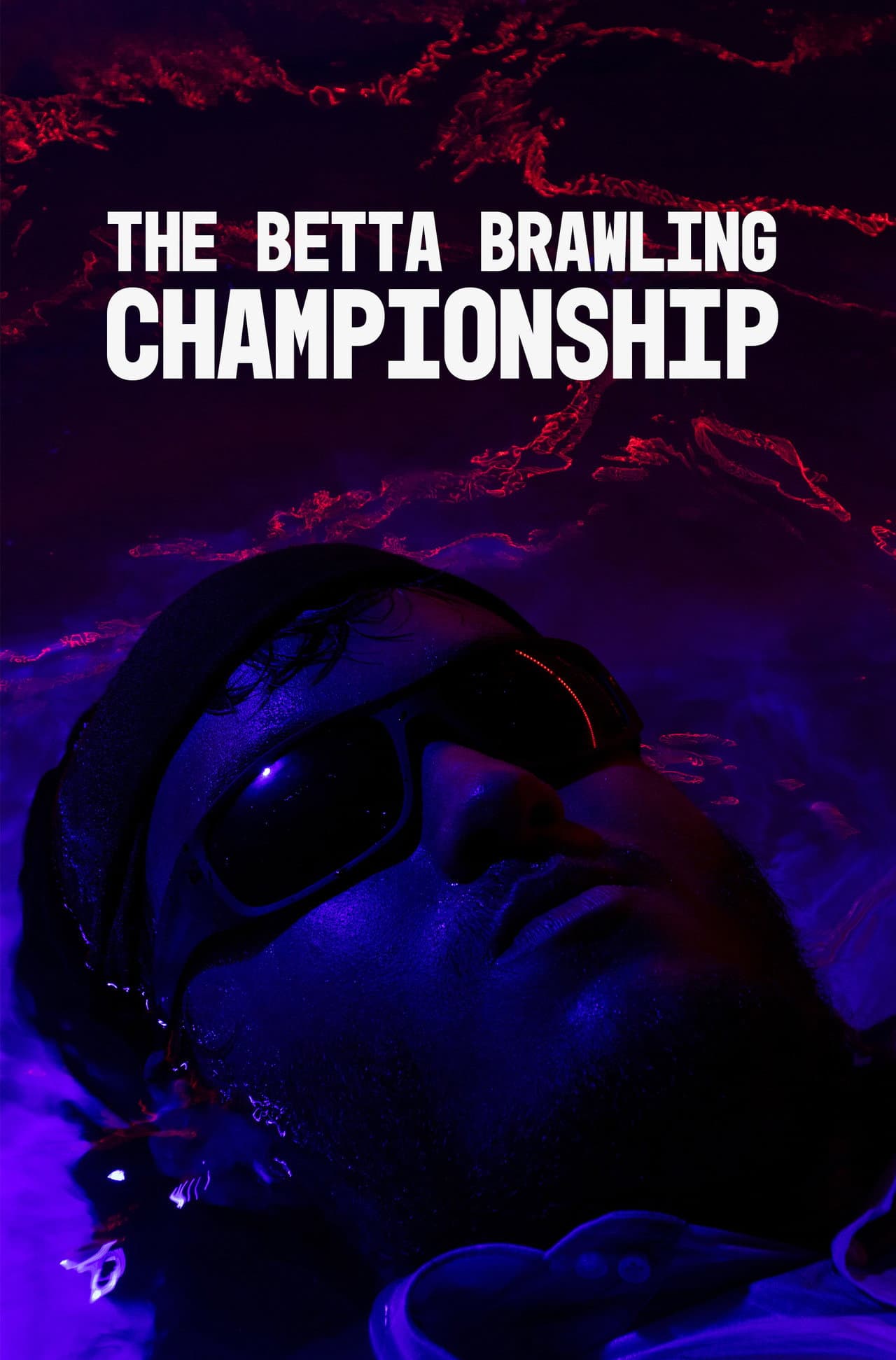 The Betta Brawling Championship preview 2