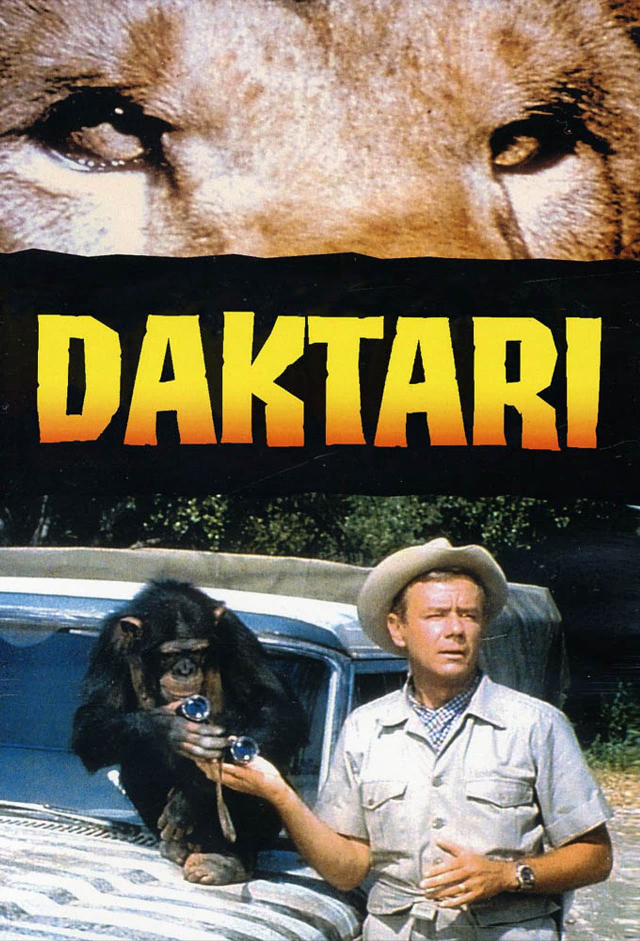 Daktari preview 2