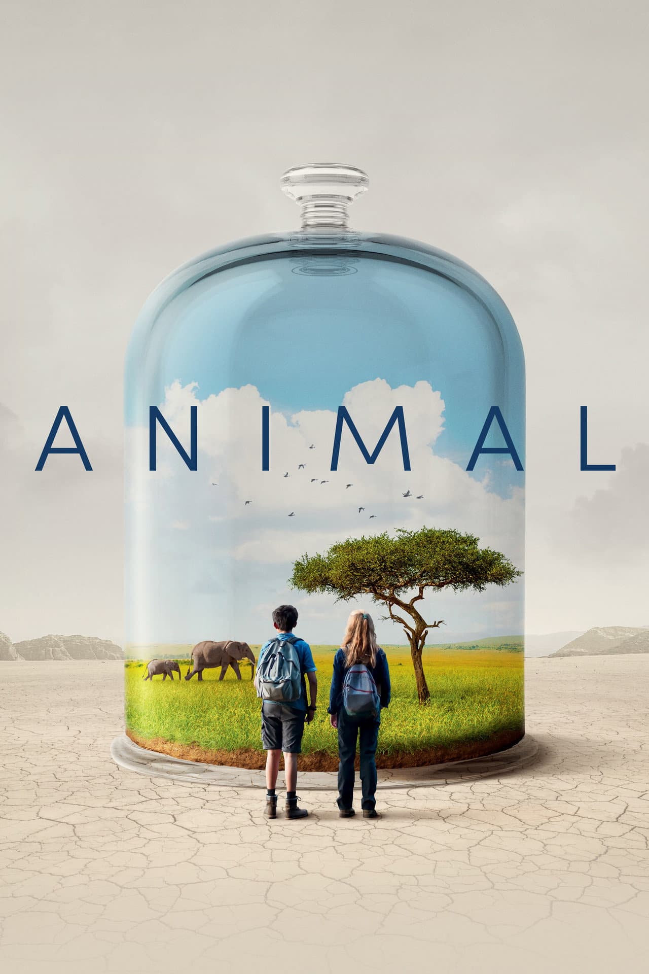 Animal preview 2