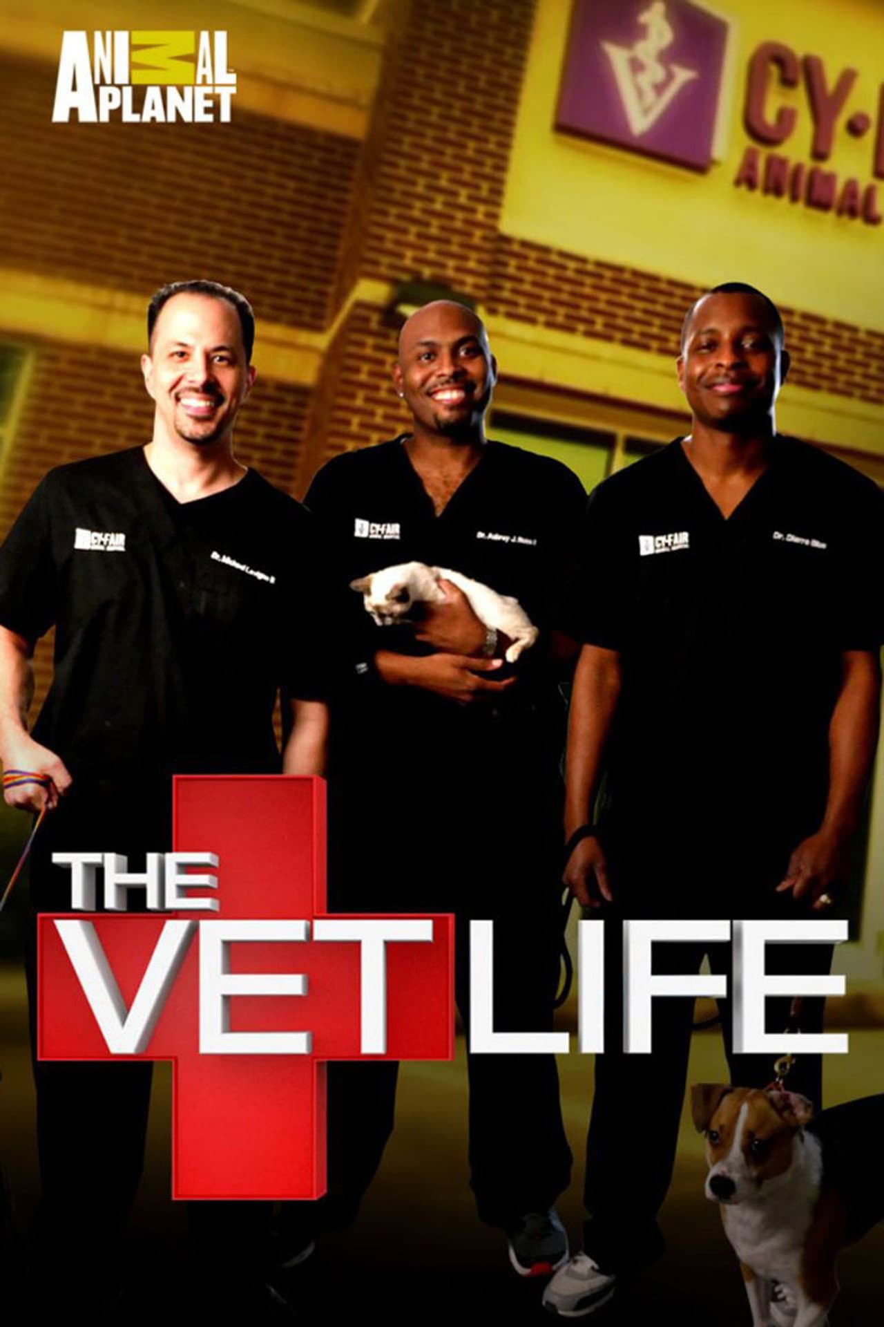 The Vet Life preview 2