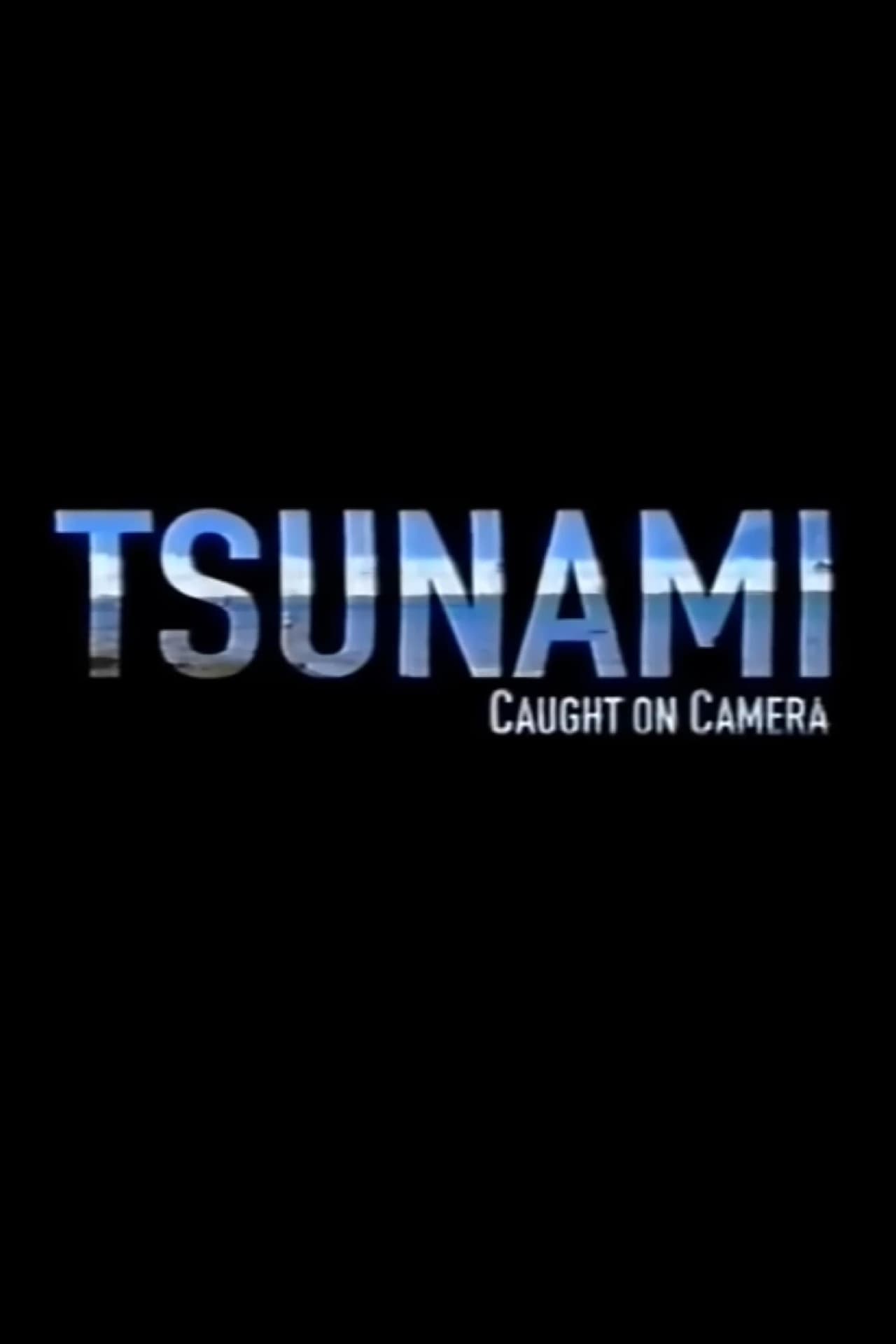 Tsunami: Caught on Camera preview 2