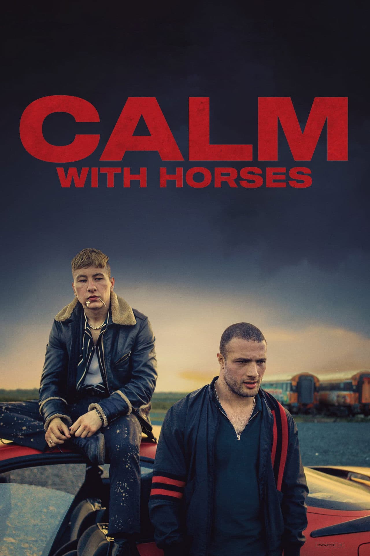 Calm with Horses preview 2