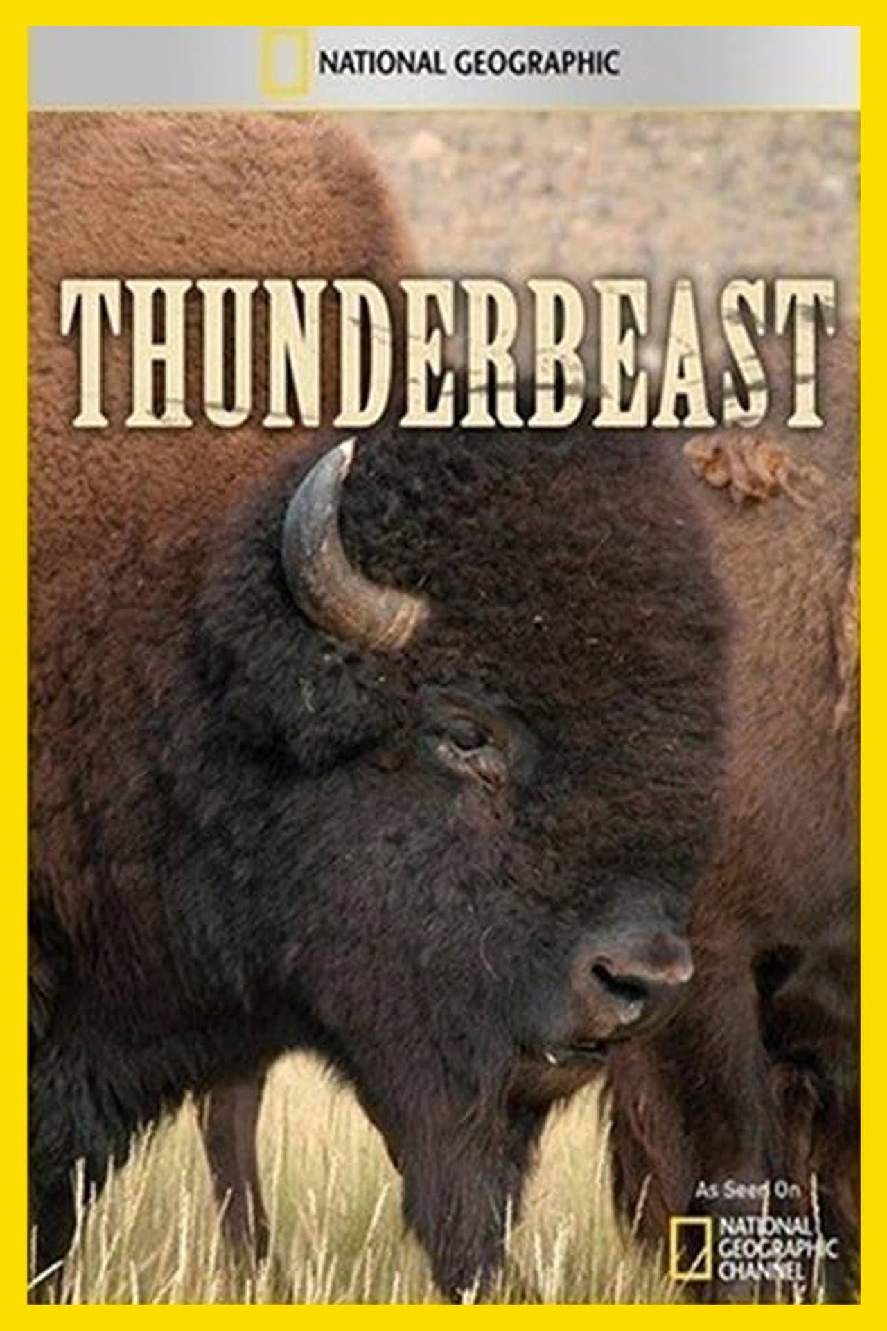 Thunderbeast preview 1