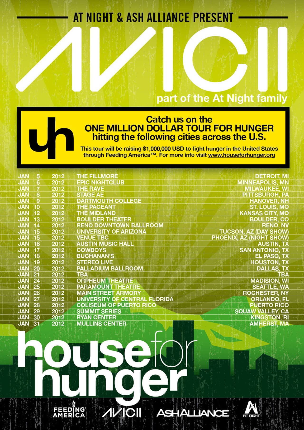Avicii on Tour preview 1