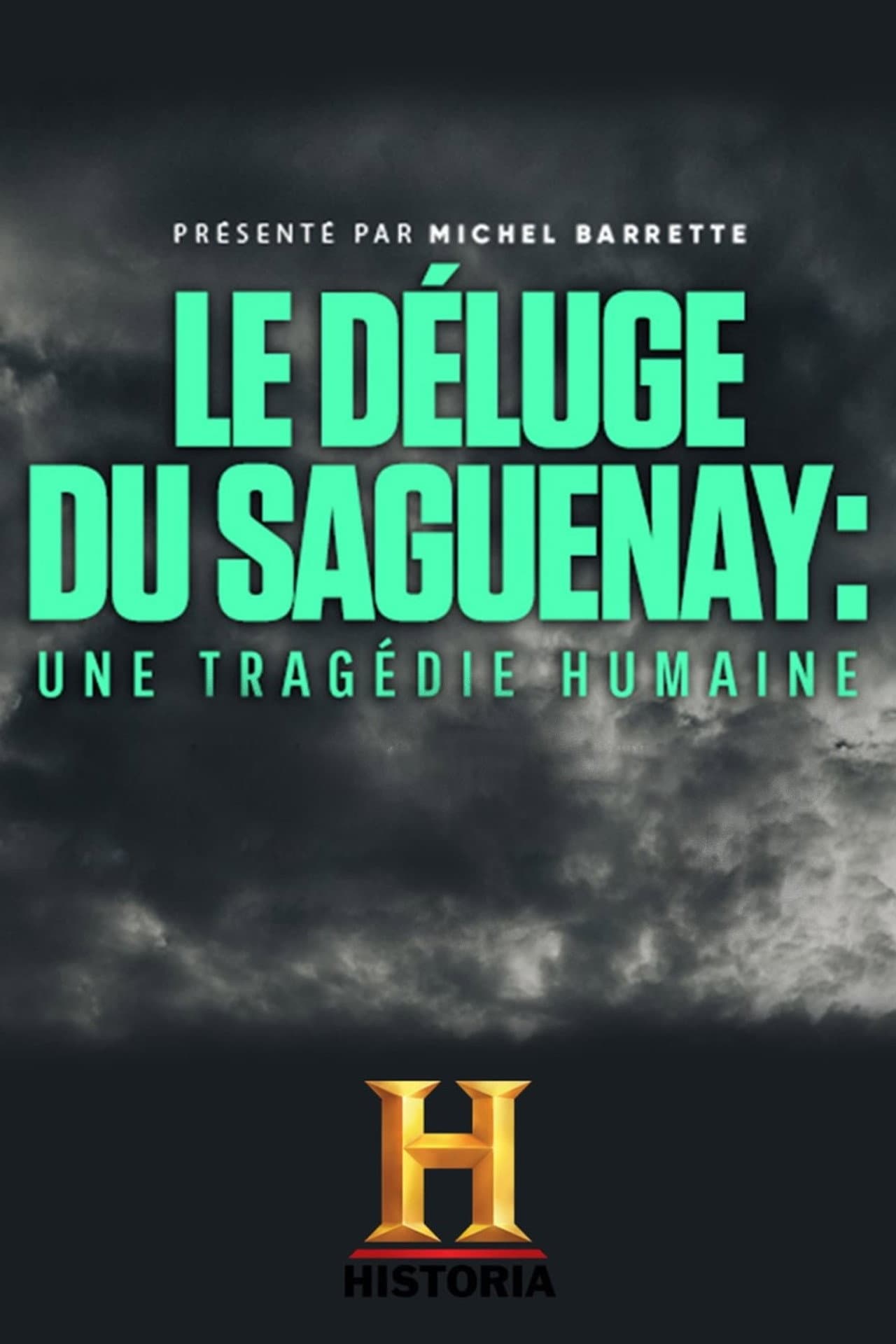Le déluge du Saguenay : une tragédie humaine preview 2