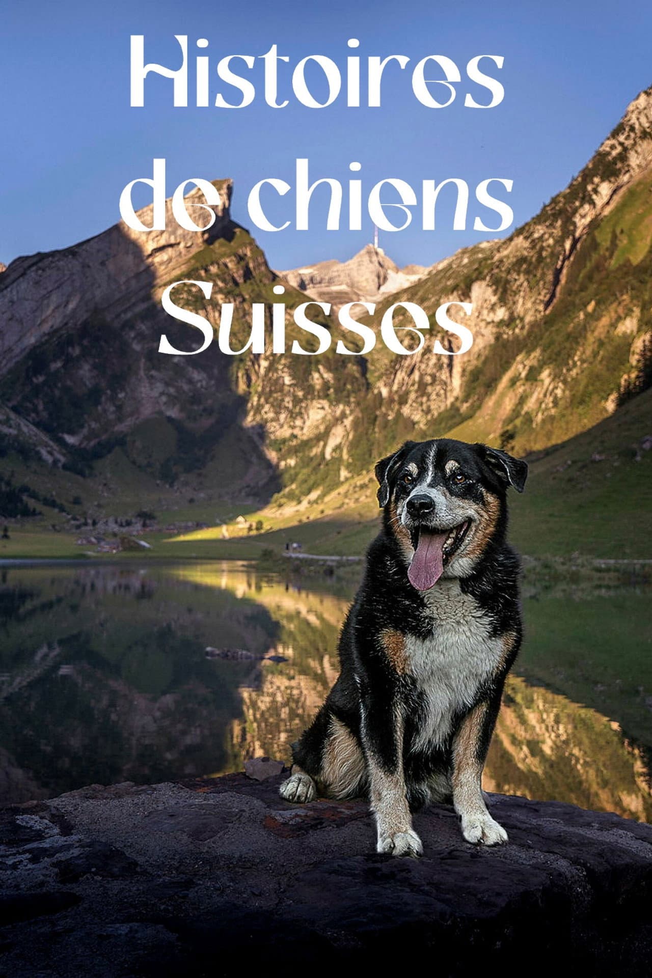 Schweizer Hundegeschichten preview 2
