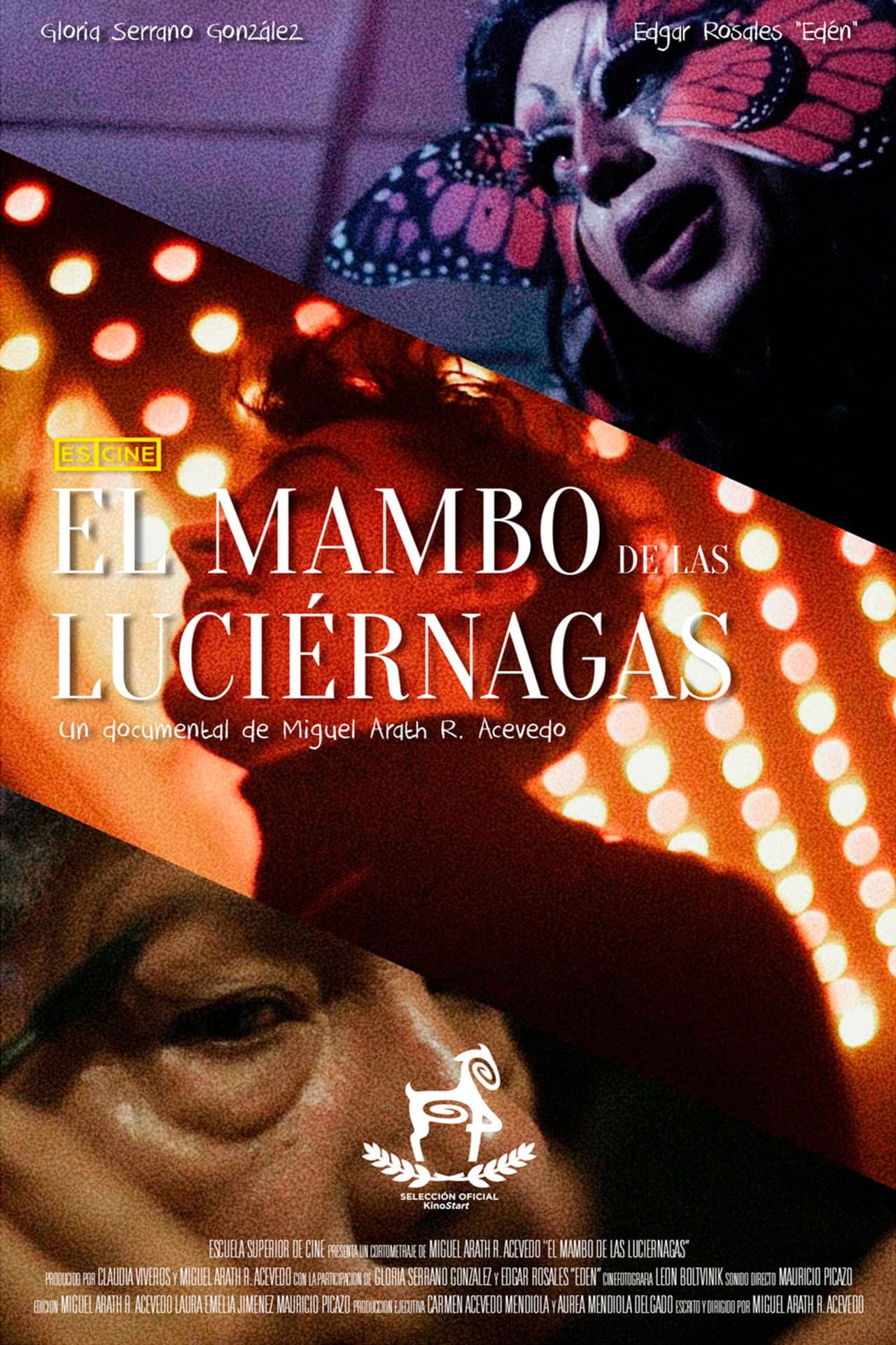 El mambo de las luciérnagas preview 2