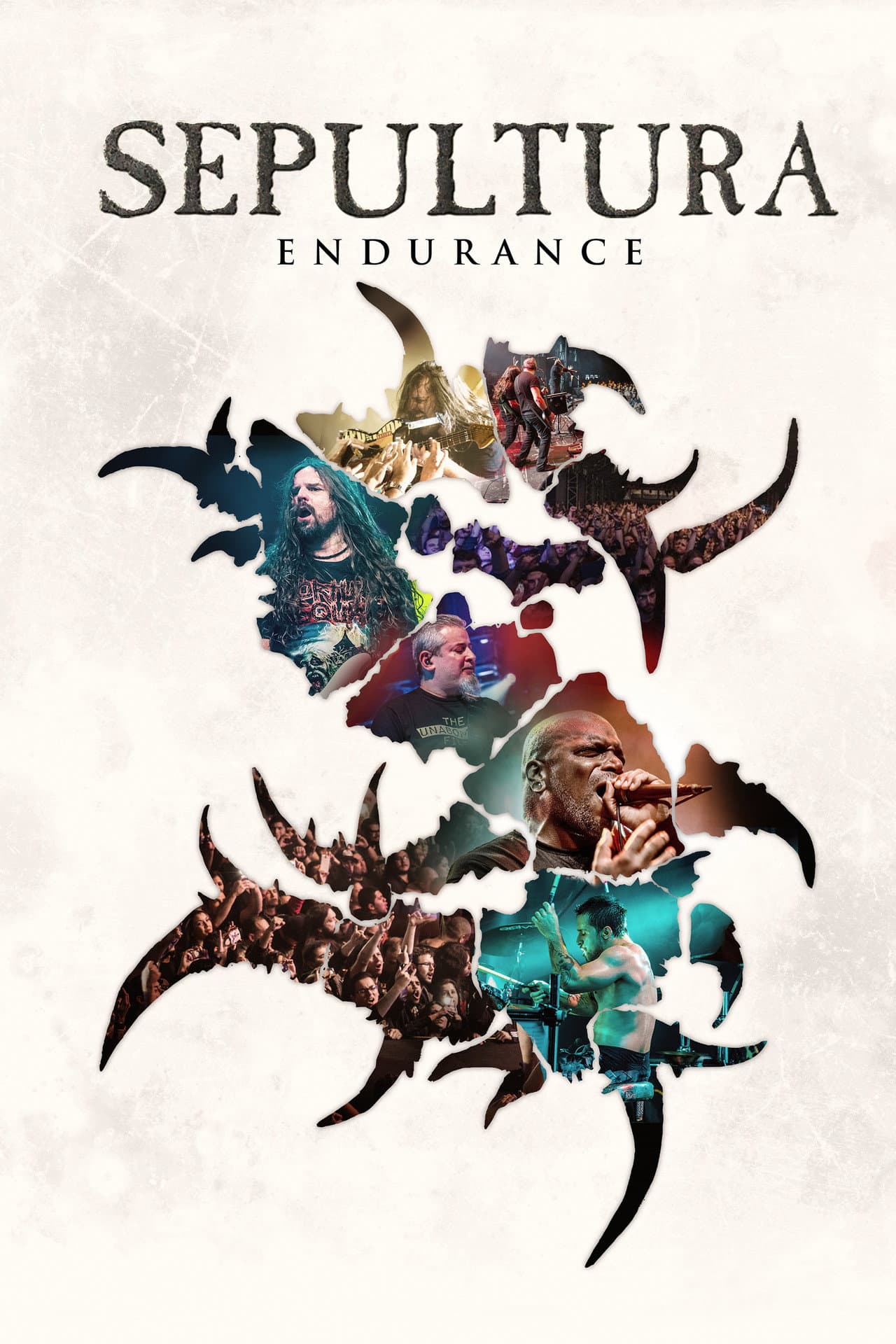 Sepultura Endurance preview 2