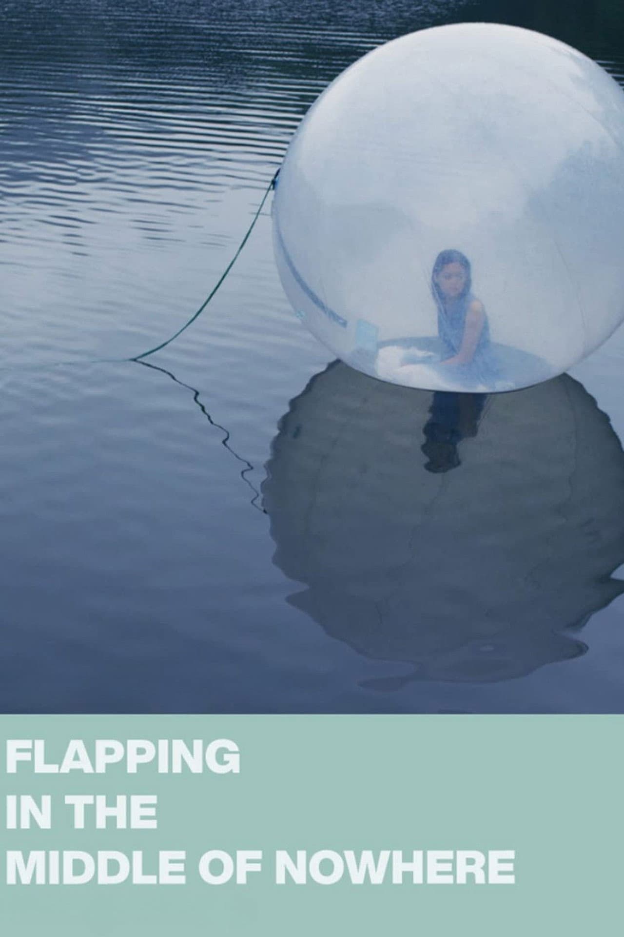 Flapping in the Middle of Nowhere preview 2
