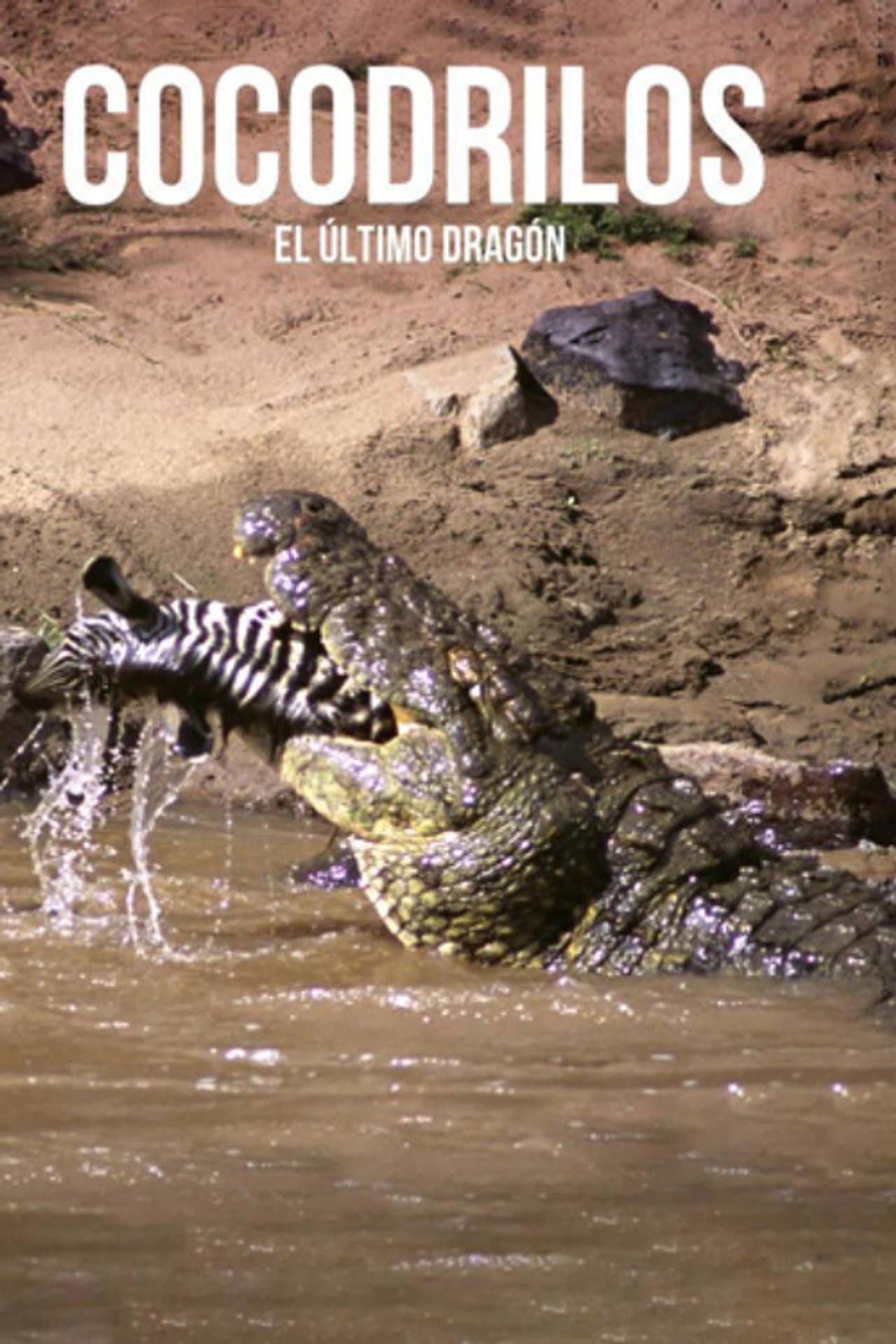 Crocodiles, the last dragon preview 1