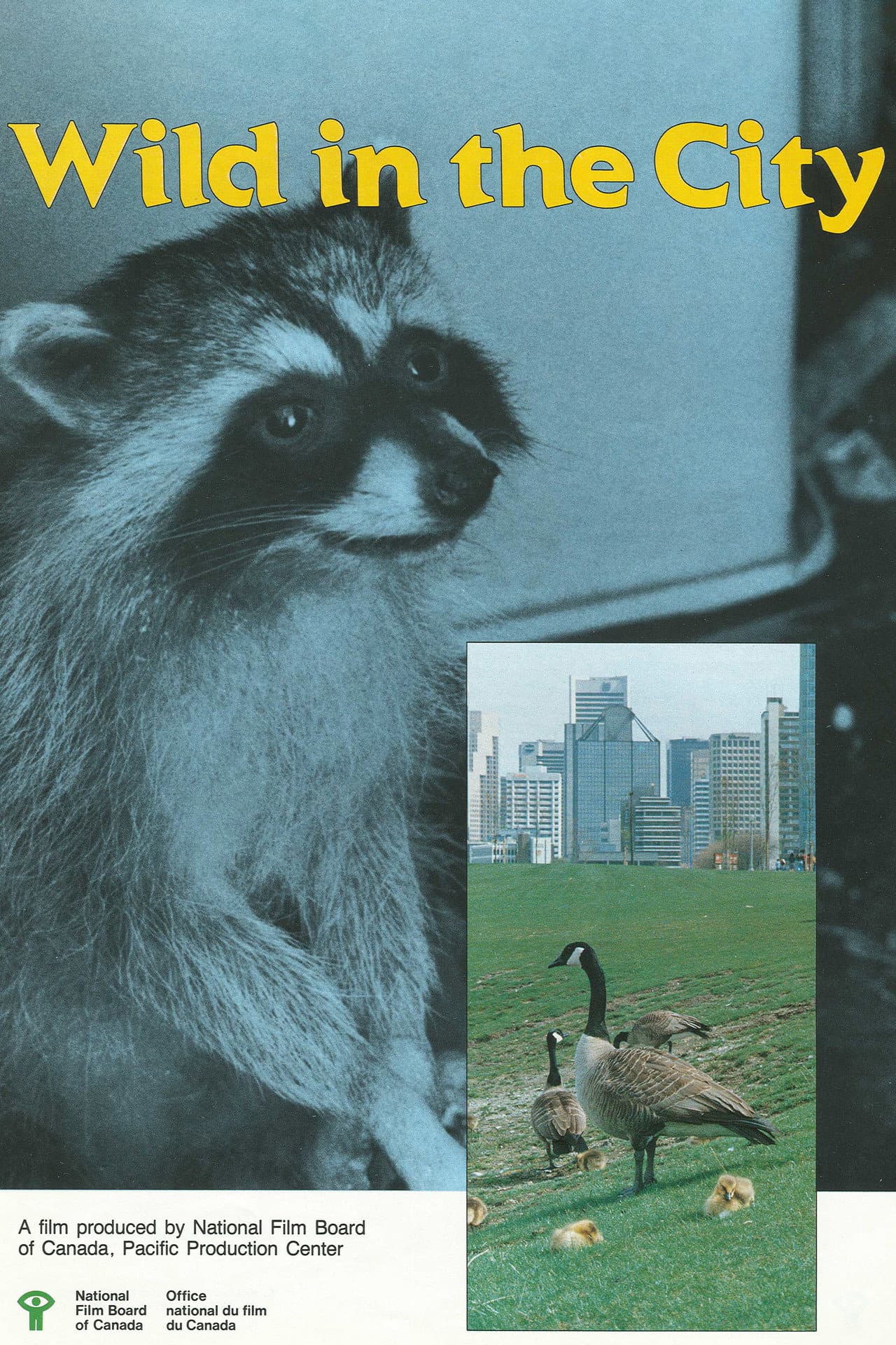 Wild in the City preview 2