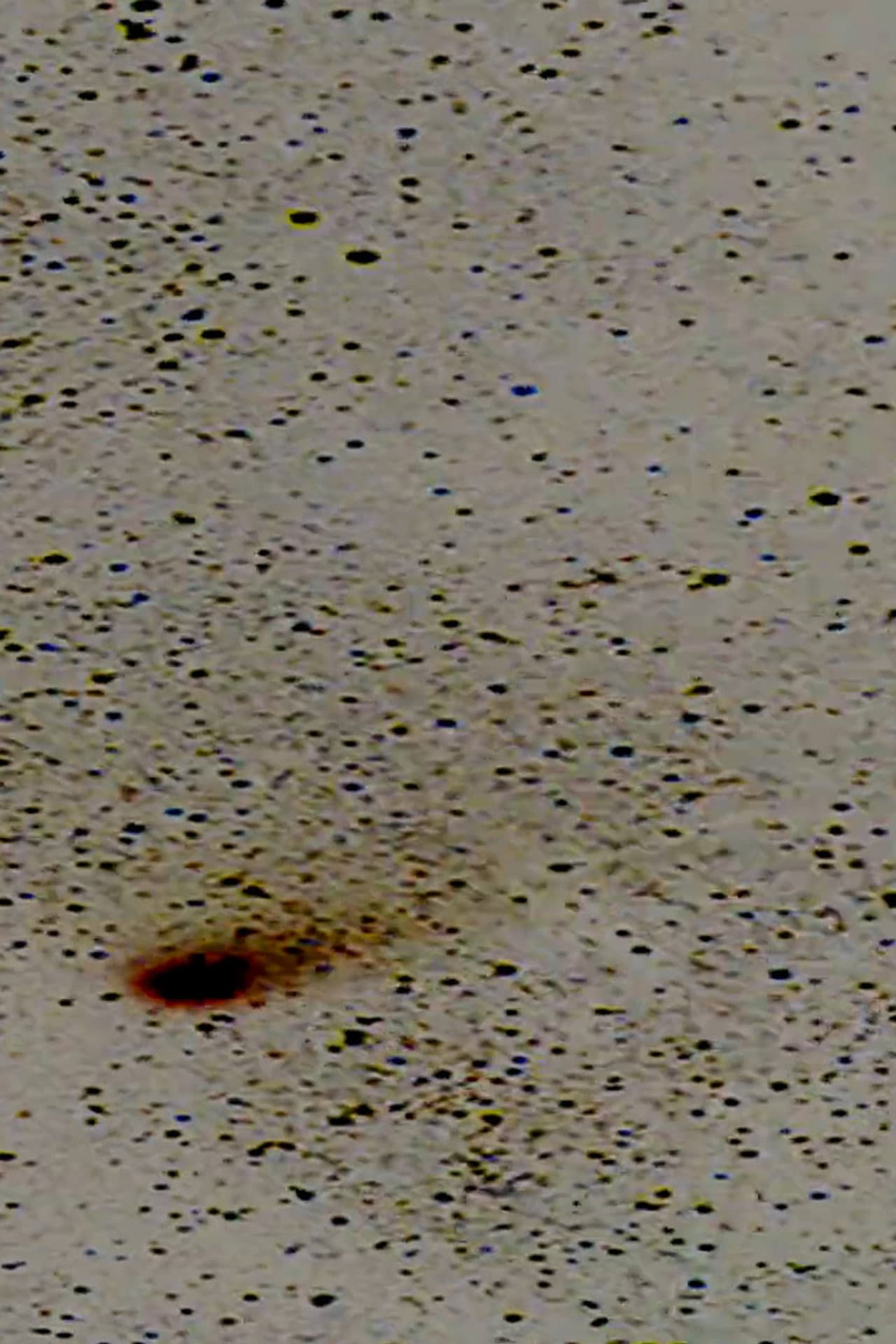 Halley’s Comet preview 2