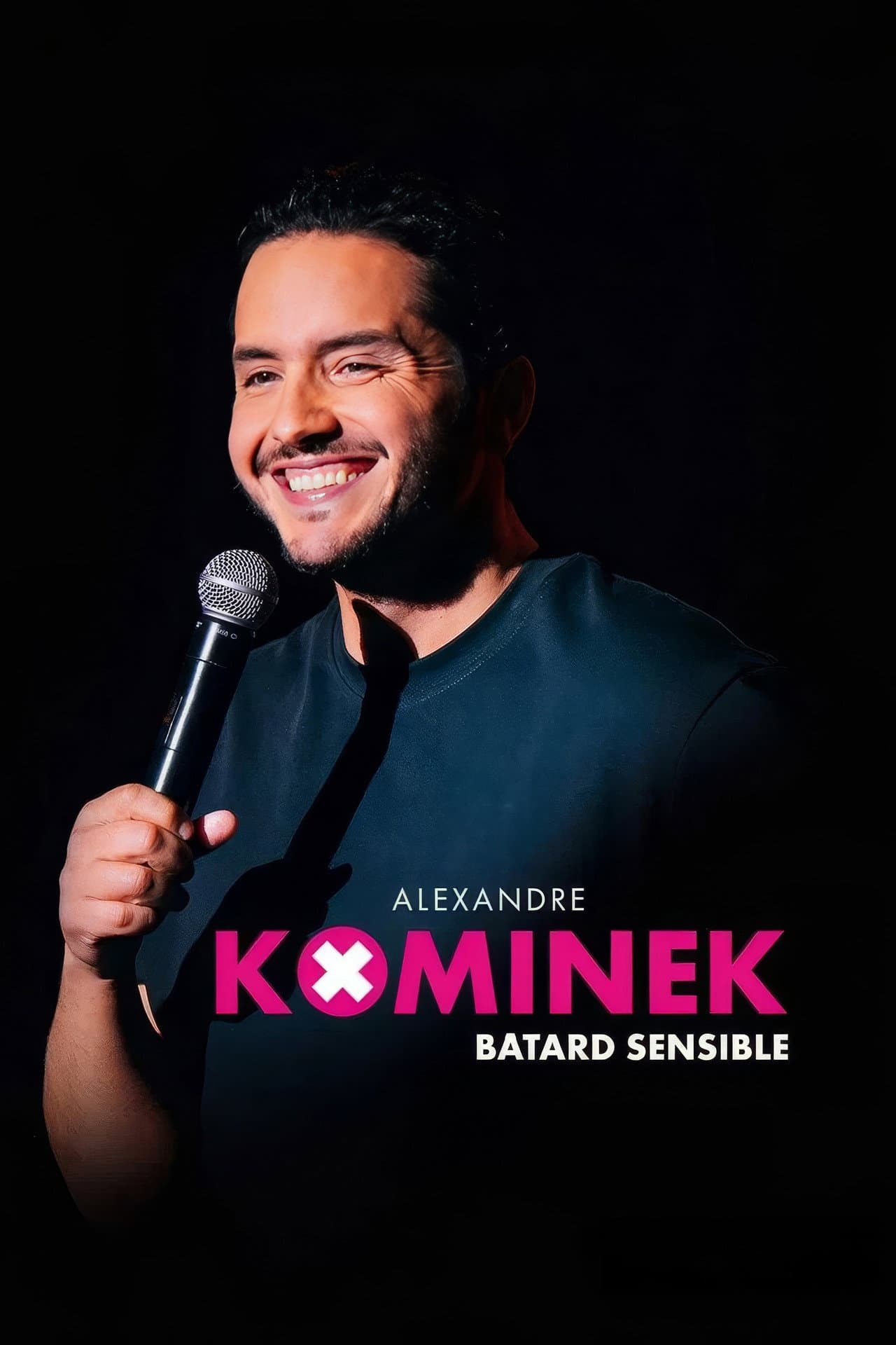 Alexandre Kominek : Bâtard sensible preview 2