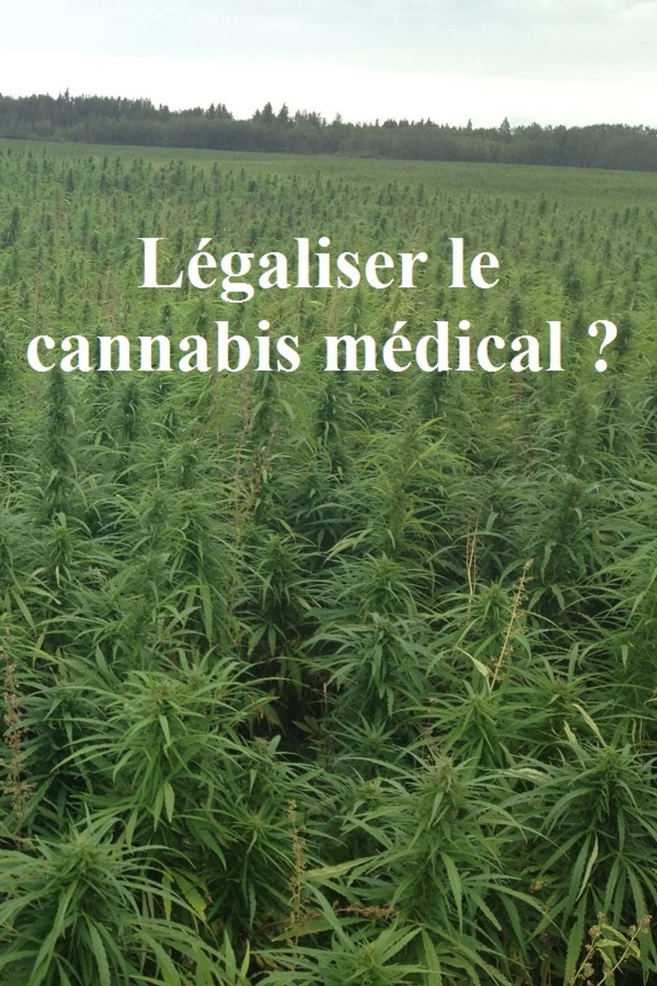 Légaliser le cannabis médical ? preview 2