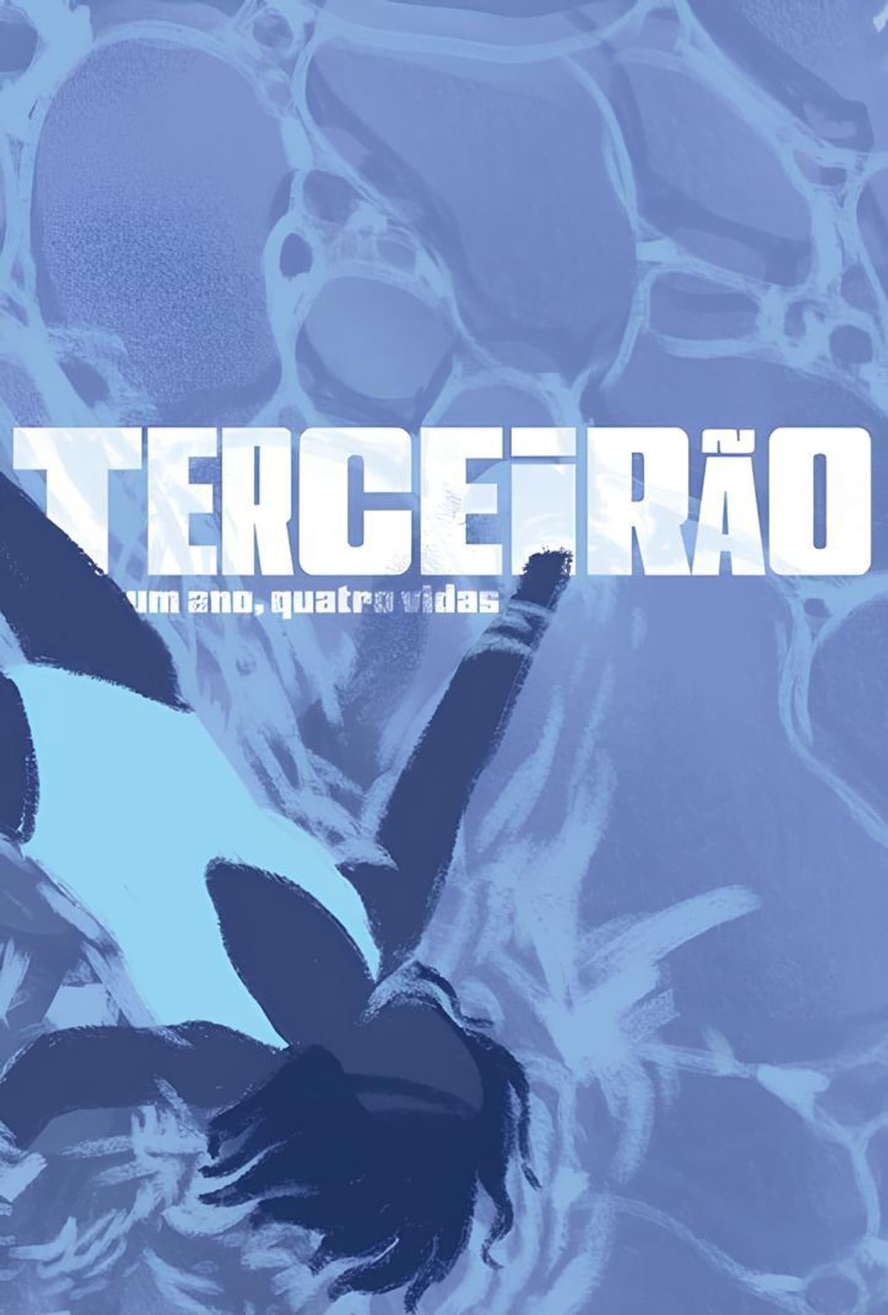 Terceirão - Um Ano, Quatro Vidas preview 2