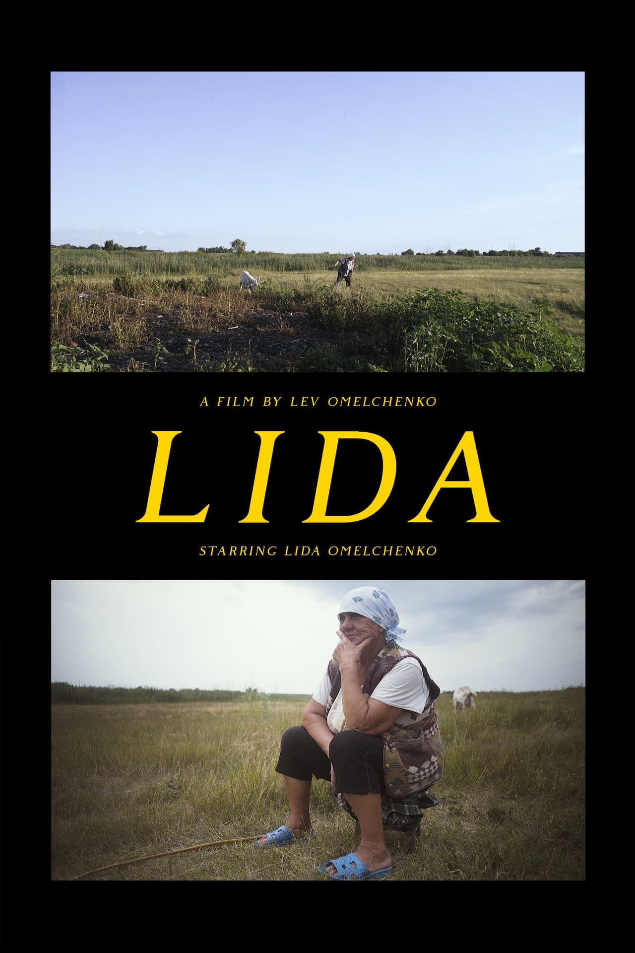 Lida preview 2