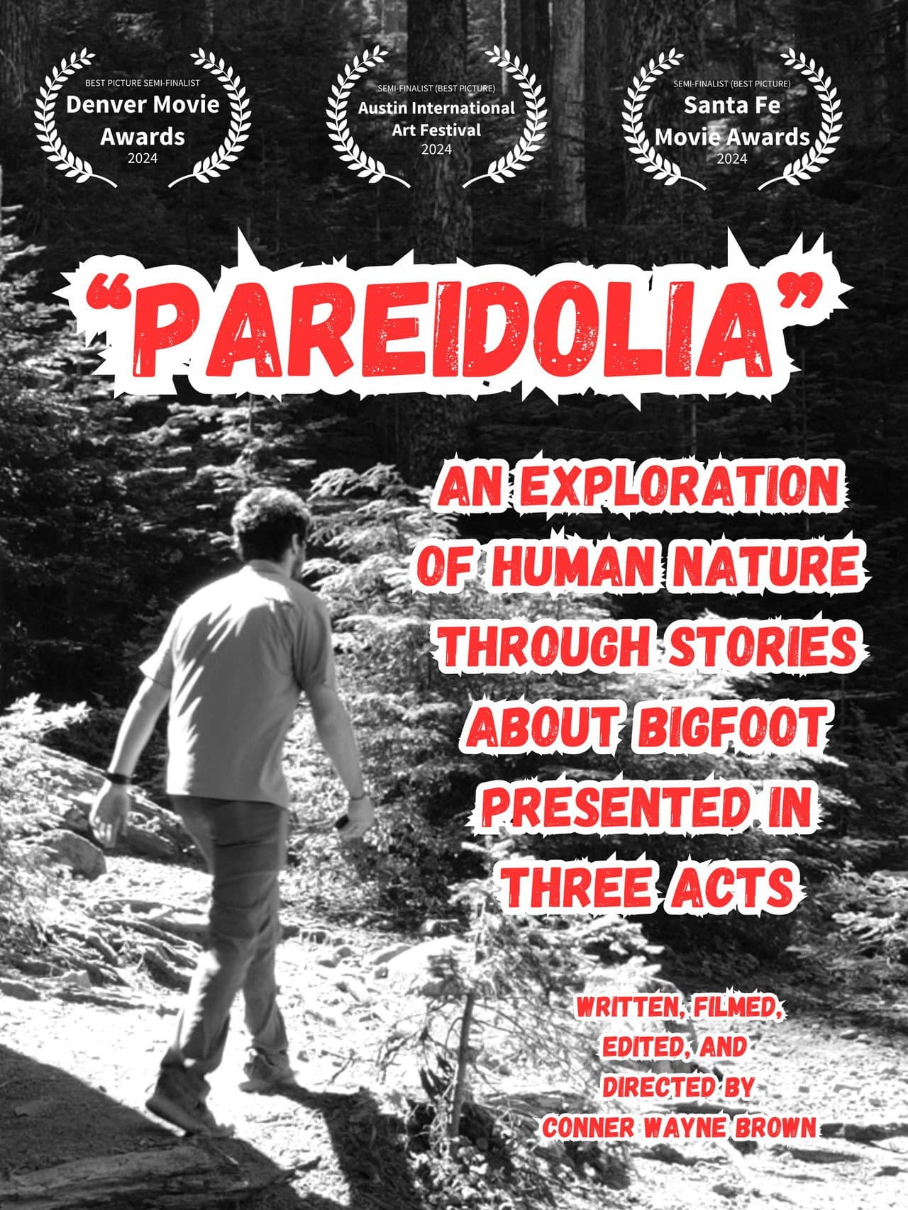 Pareidolia: An Exploration of Human Nature Through Stories About Bigfoot, Presented in Three Acts preview 2