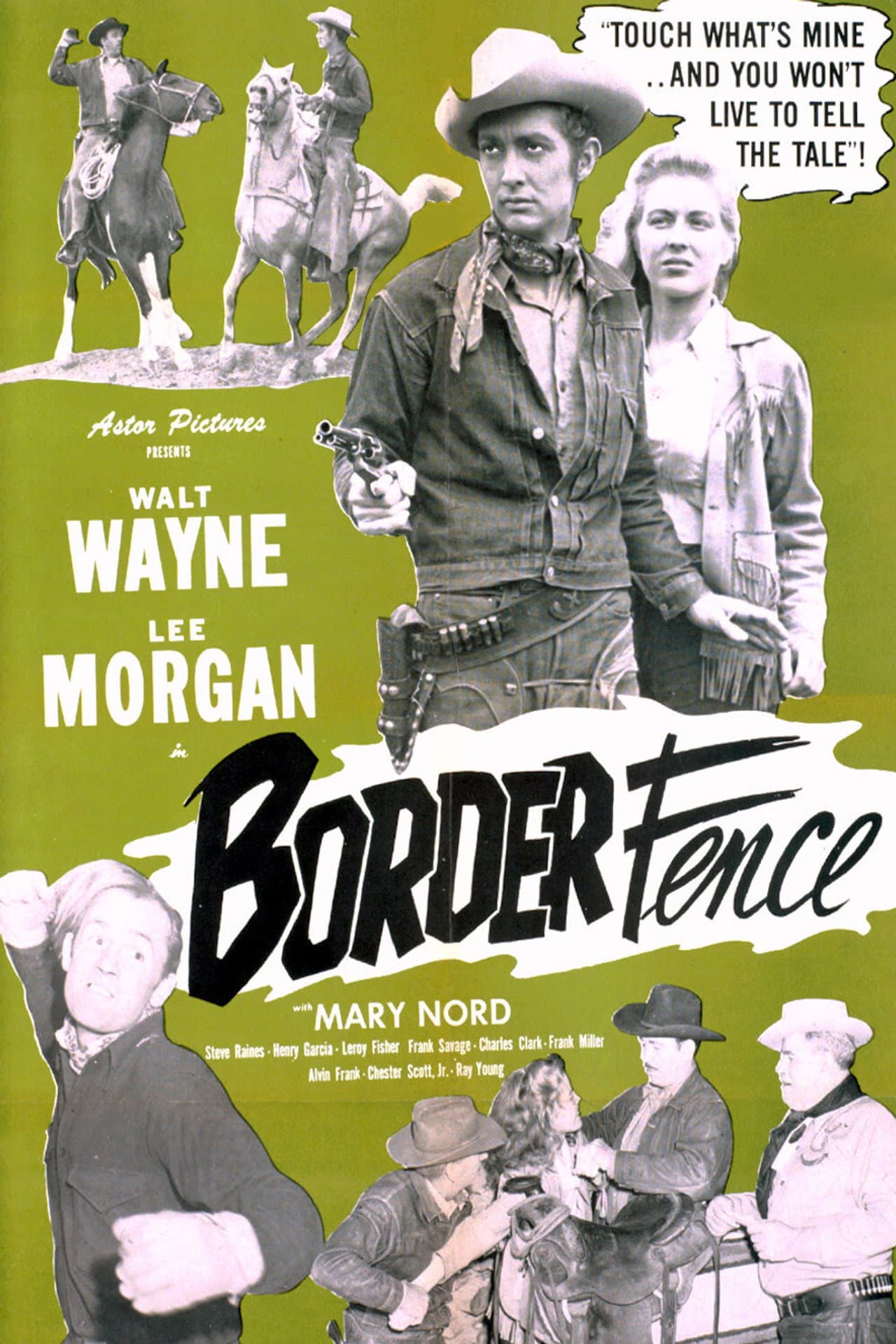 Border Fence preview 1