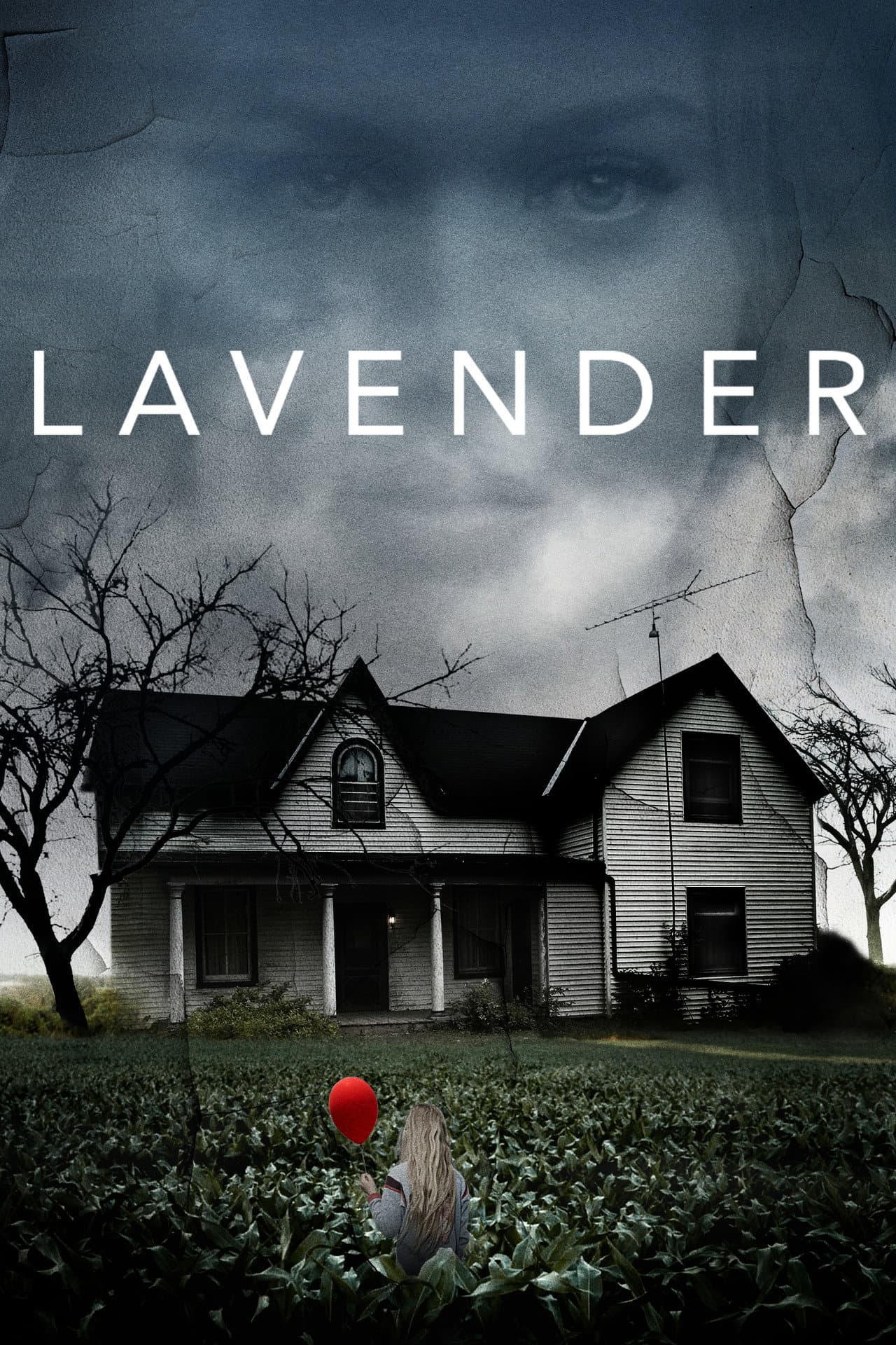 Lavender preview 2