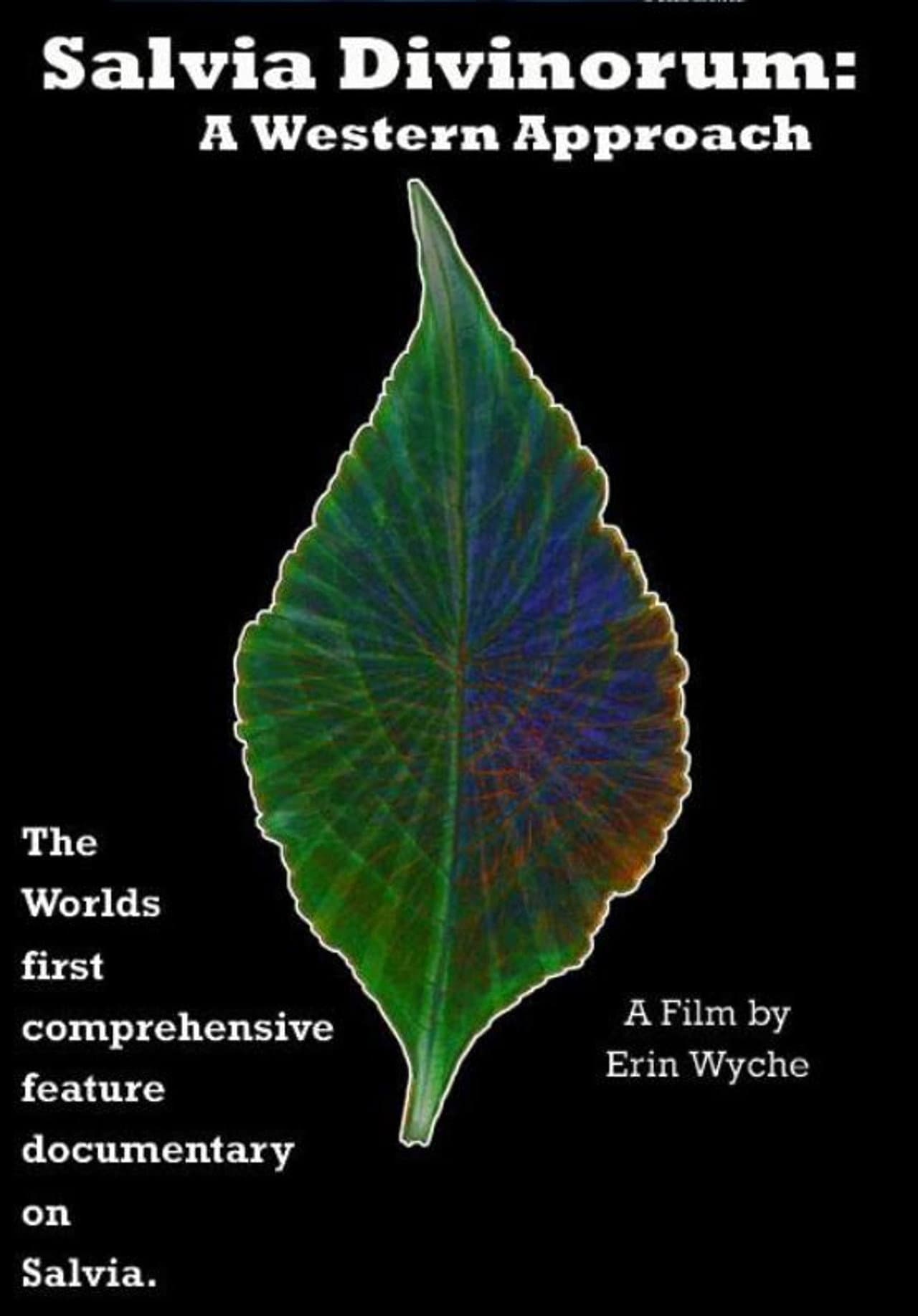 Salvia Divinorum: A Western Approach preview 2