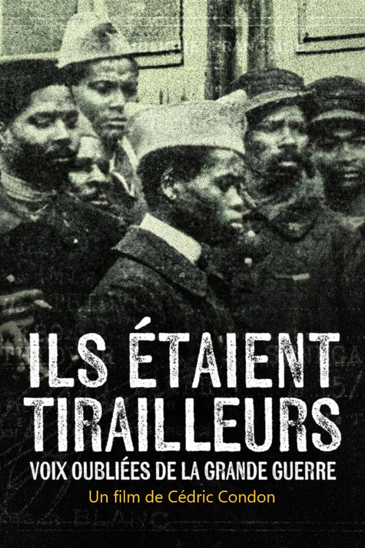 Ils étaient tirailleurs, voix oubliées de la Grande Guerre preview 2