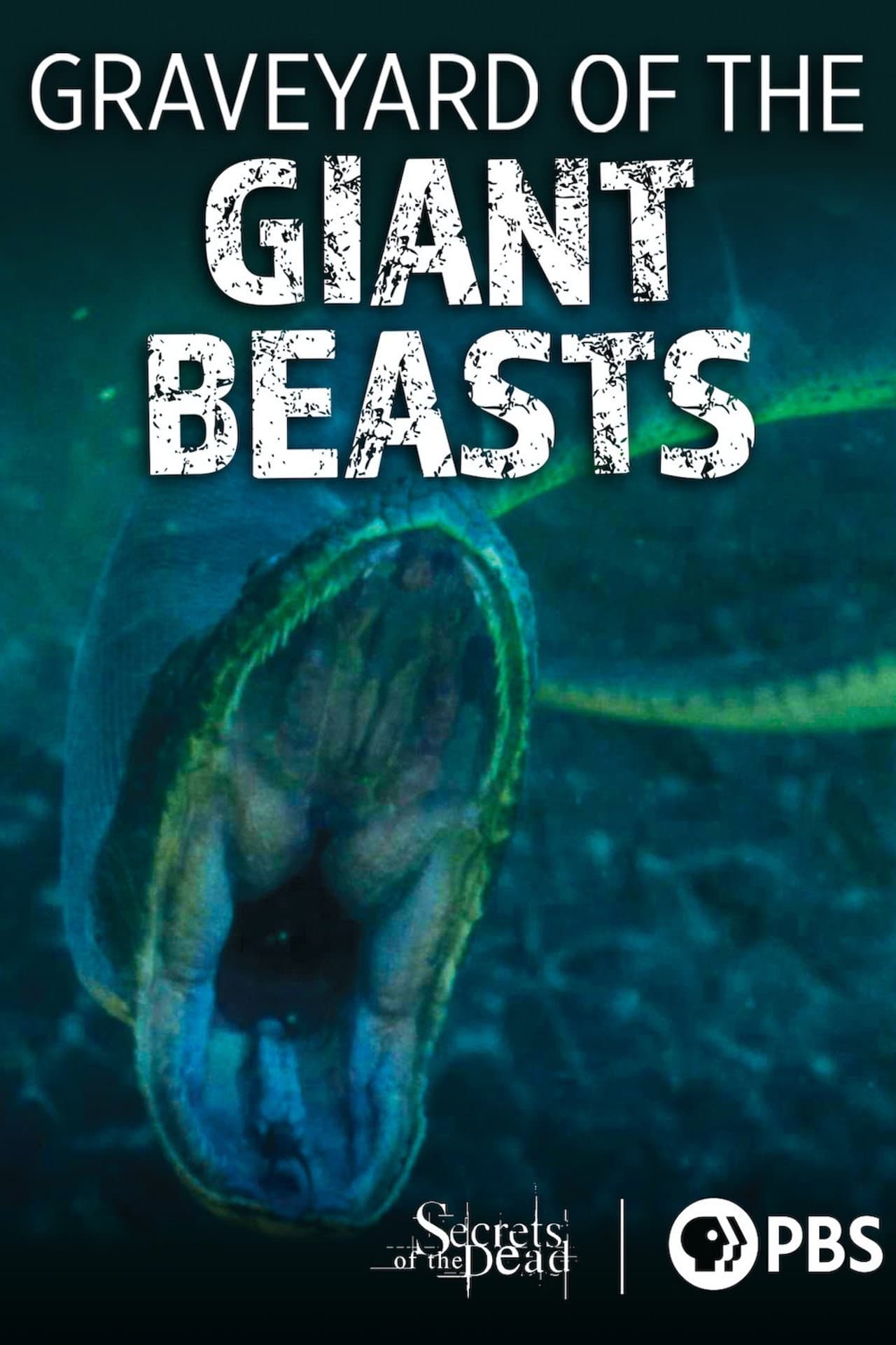Secrets of the Dead: Graveyard of the Giant Beasts preview 1