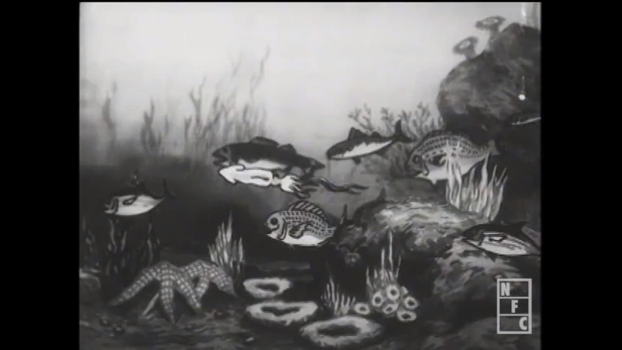 The Nation of Fish