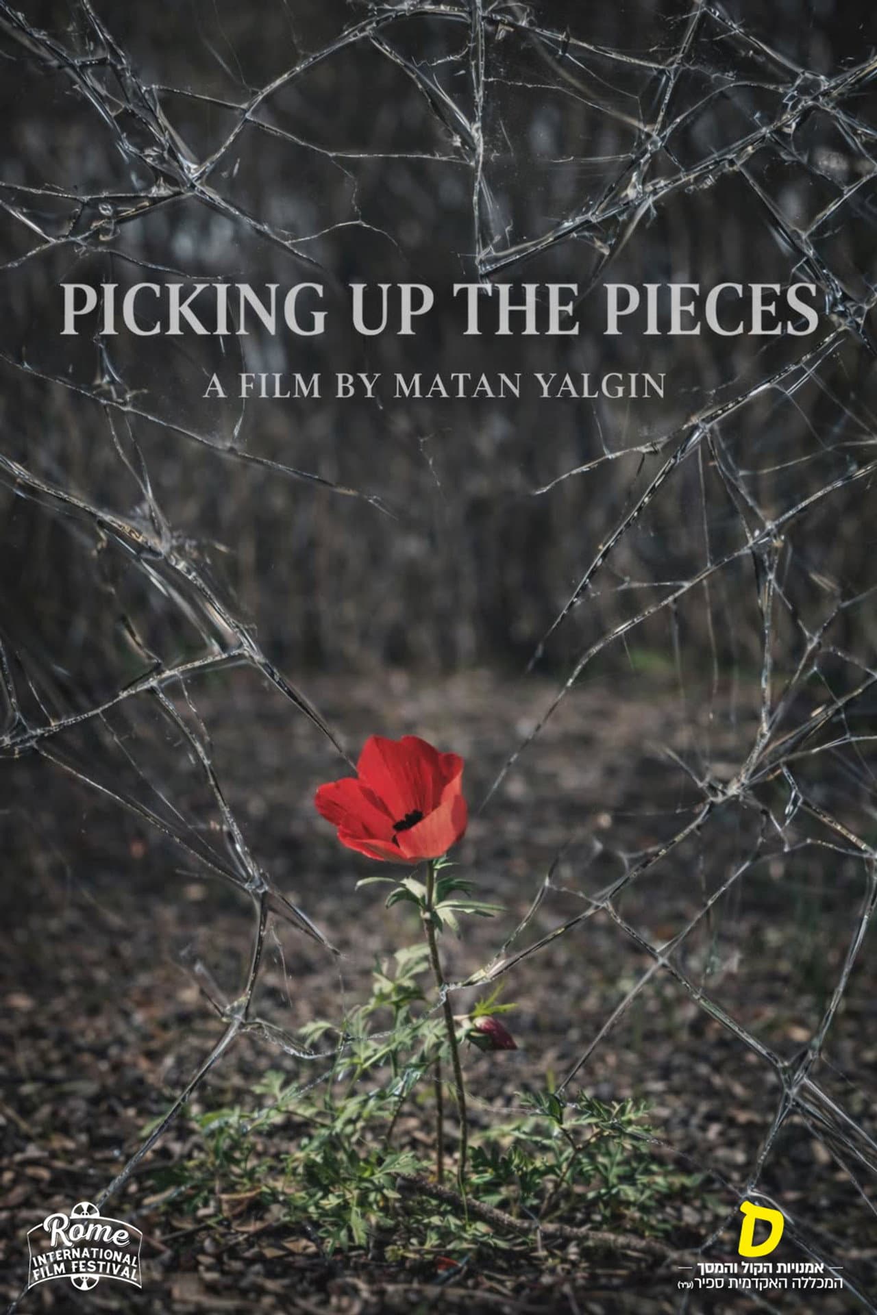 Picking Up the Pieces preview 2
