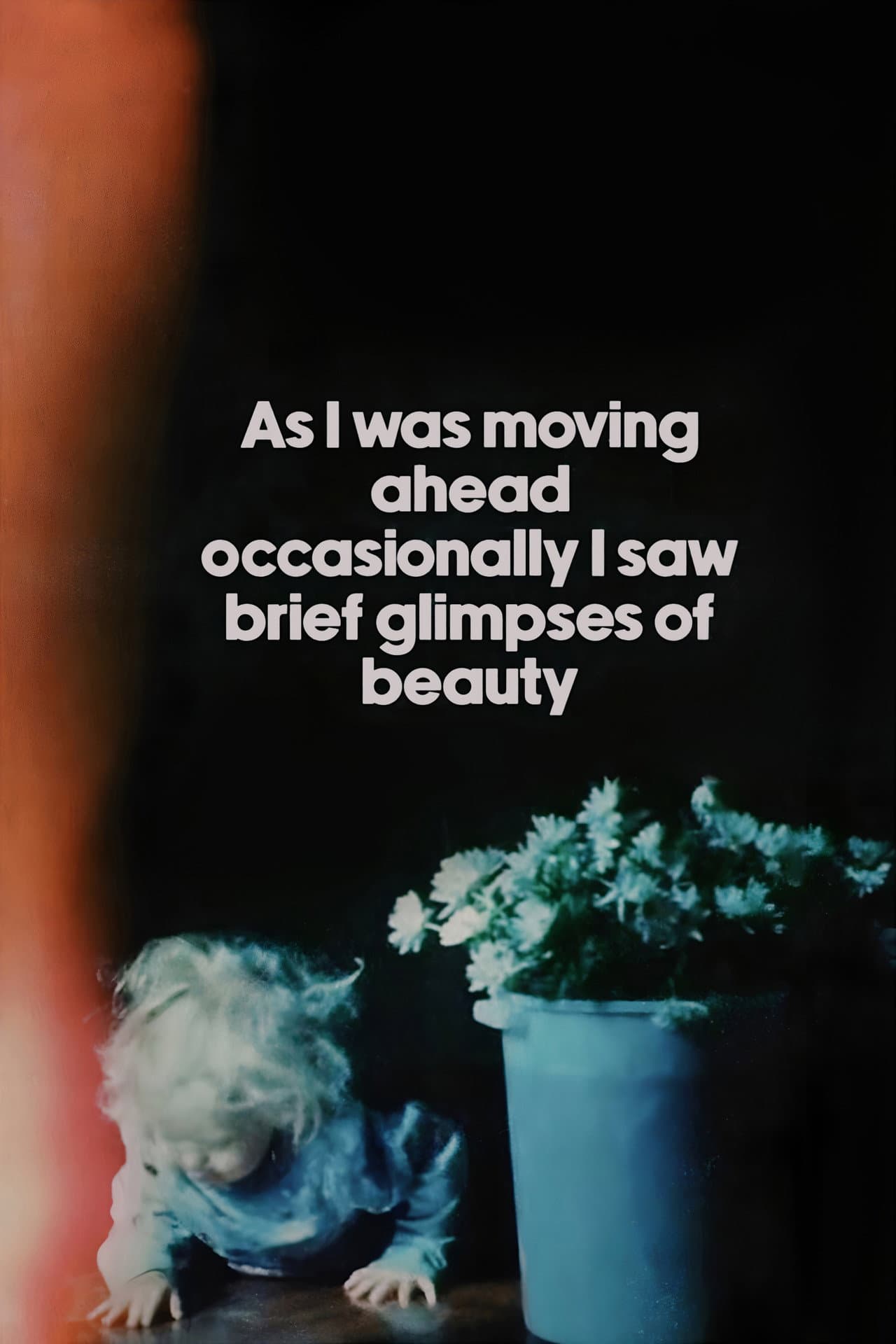 As I Was Moving Ahead, Occasionally I Saw Brief Glimpses of Beauty preview 2