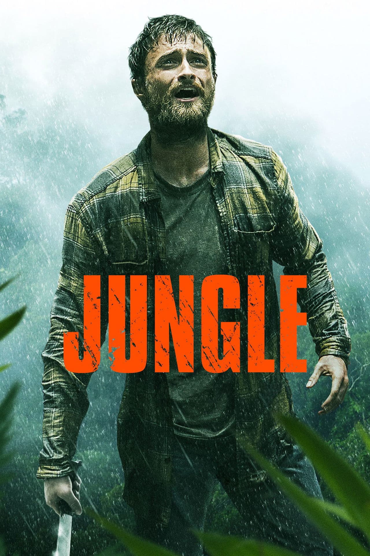 Jungle preview 2
