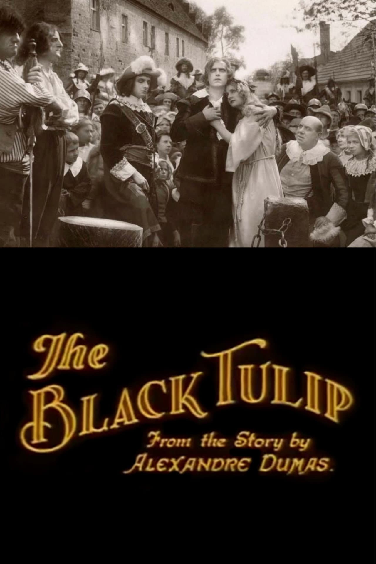 The Black Tulip preview 1
