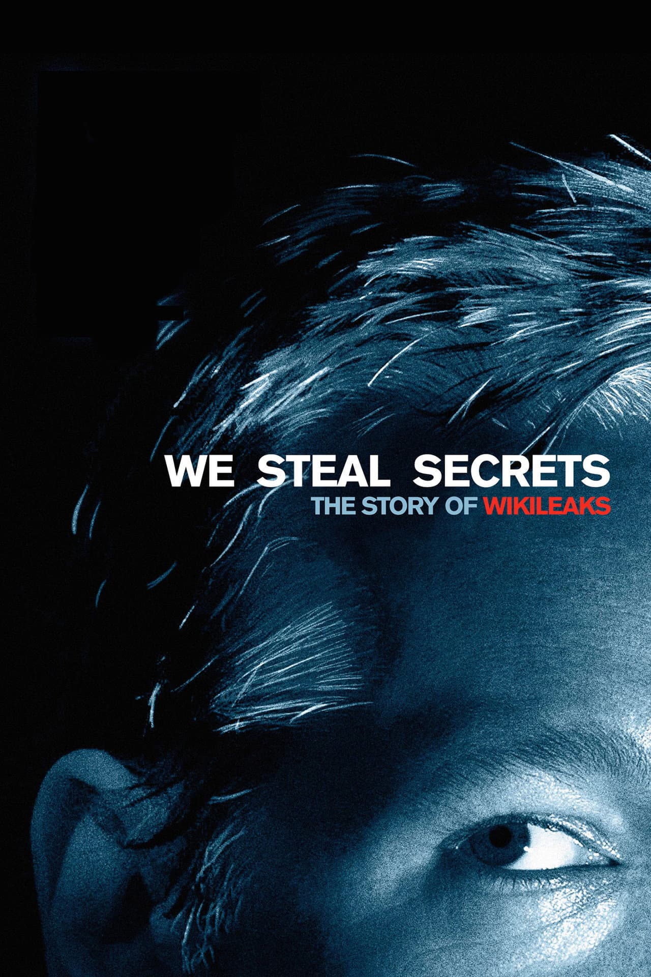 We Steal Secrets: The Story of WikiLeaks preview 2