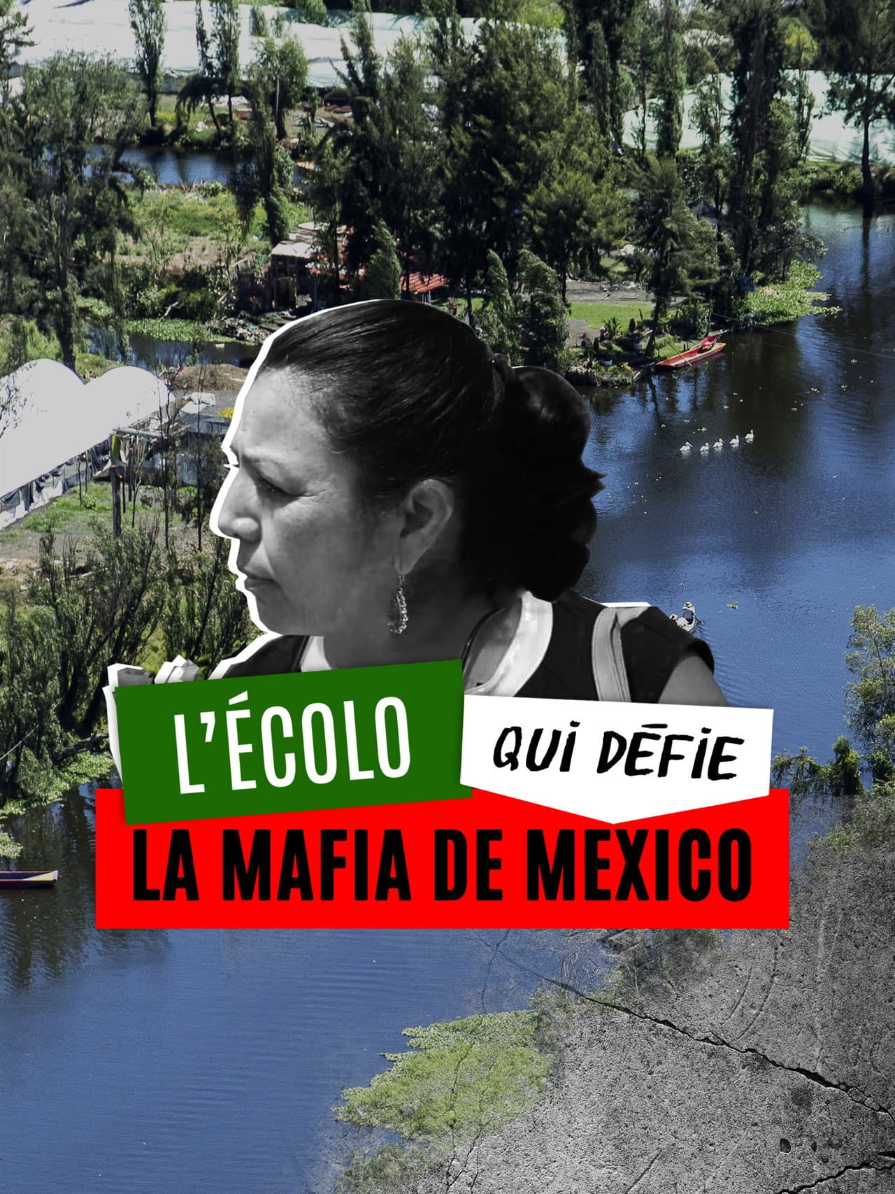 L'écolo qui défie la mafia de Mexico preview 1