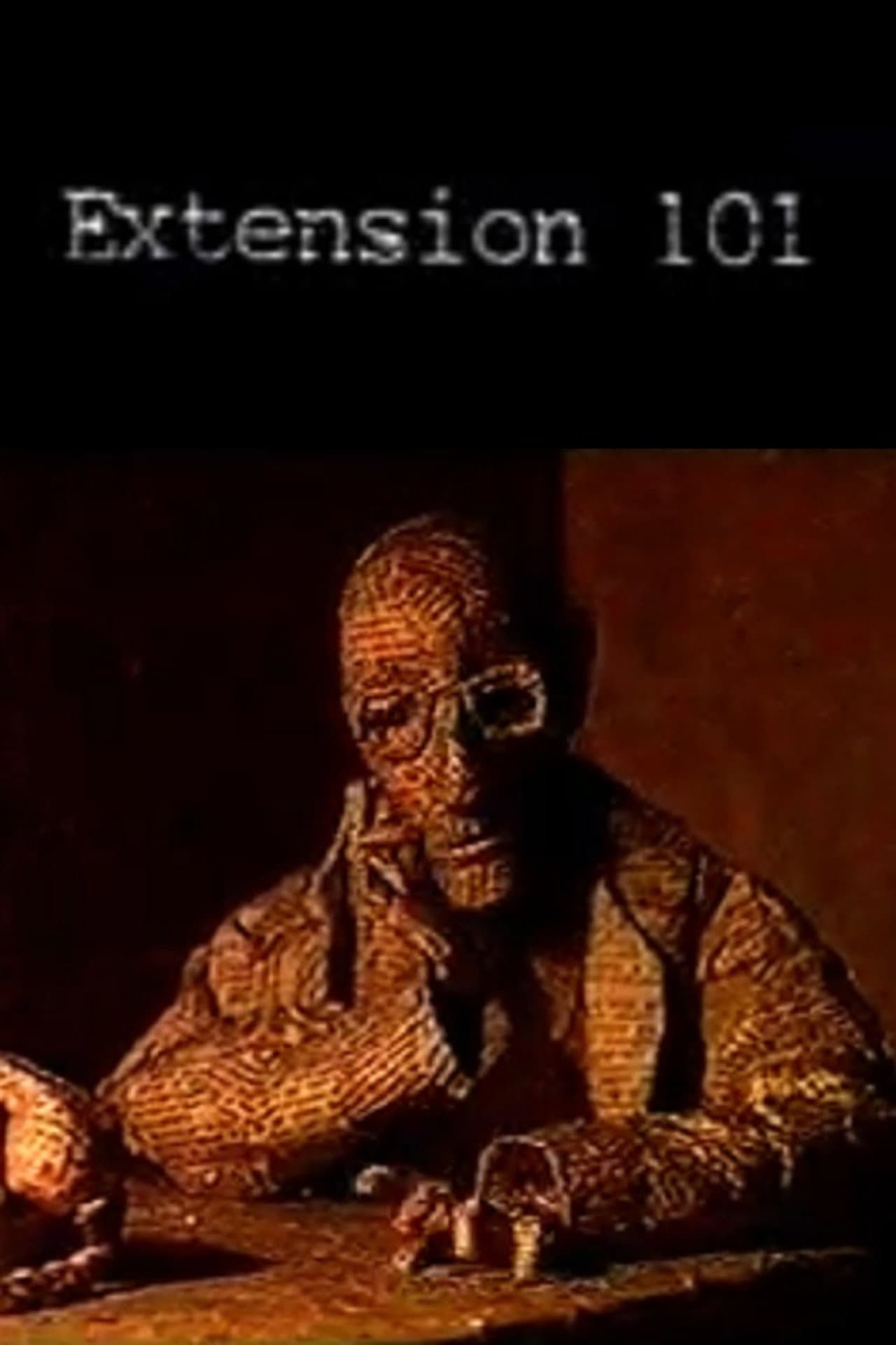 Extension 101 preview 1