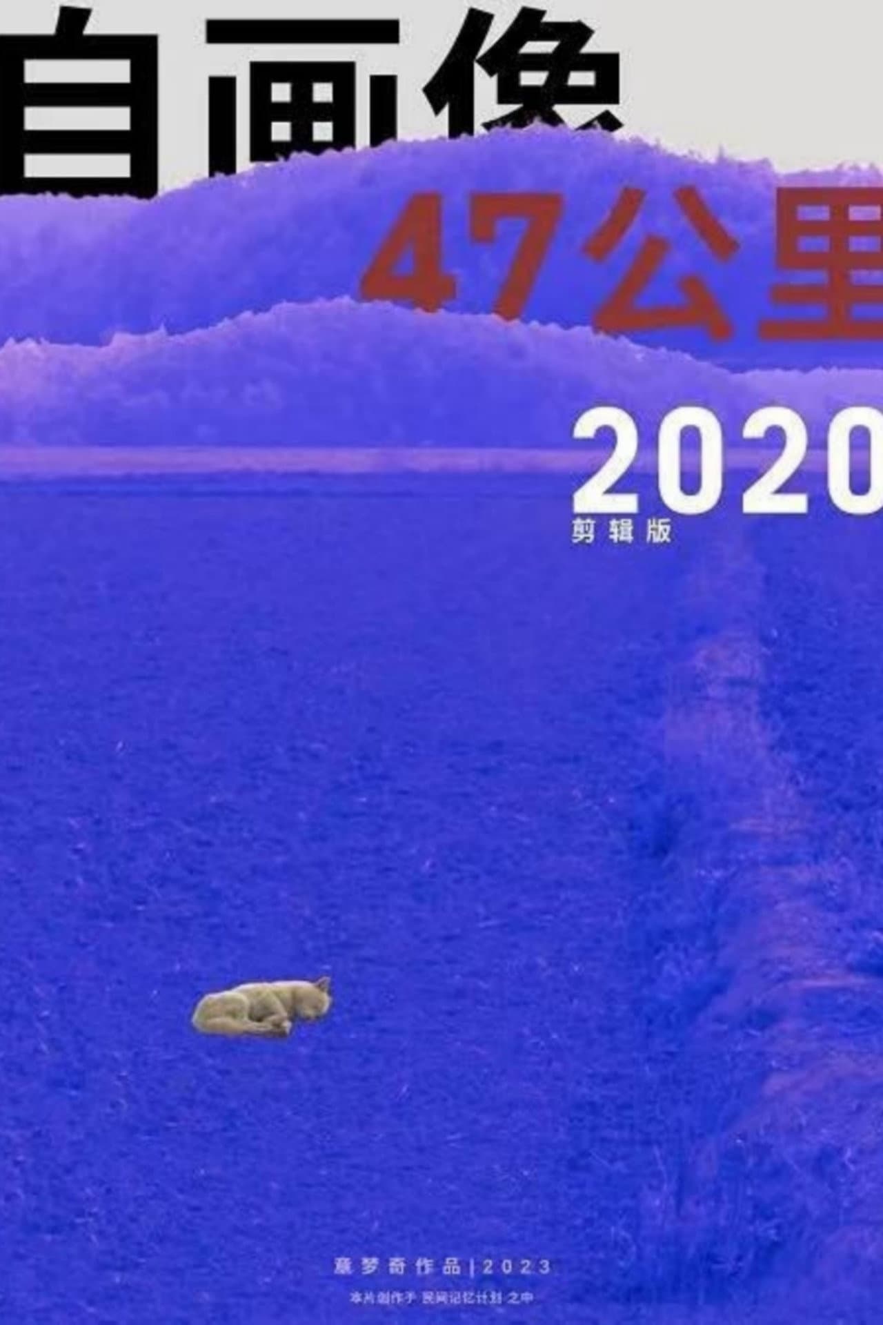 Self-Portrait: 47 KM 2020 preview 1