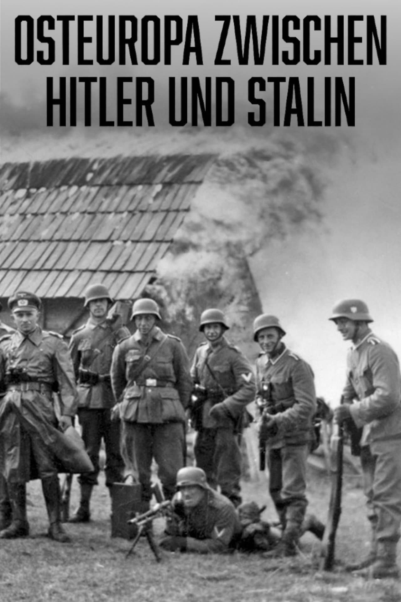 Osteuropa zwischen Hitler und Stalin  - Das große Sterben preview 2