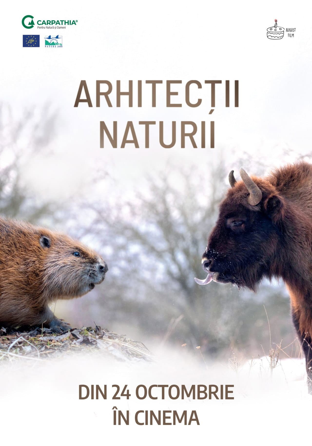 Nature's Architects preview 2