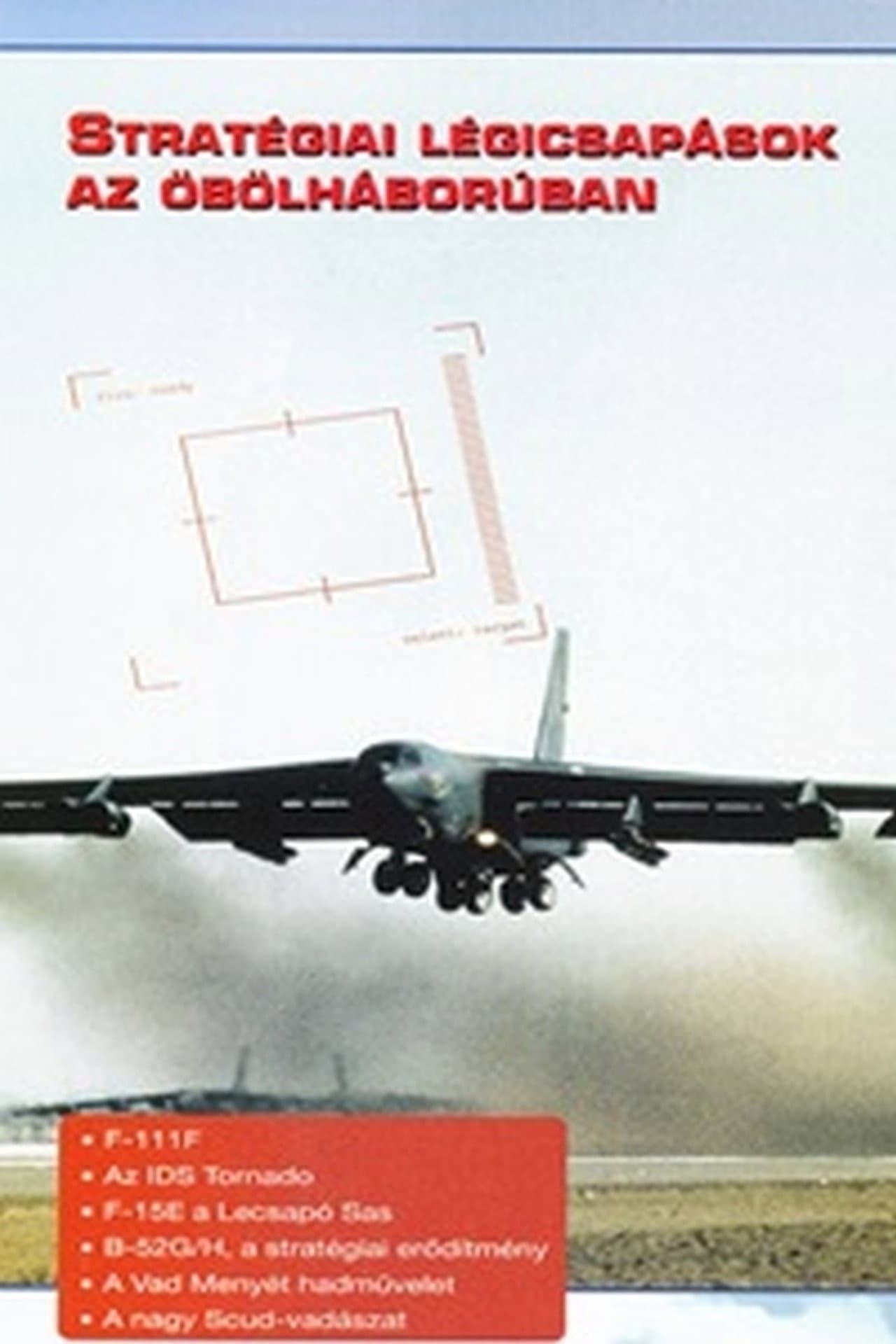 Combat in the Air - Strategic Air Power in the Gulf preview 1
