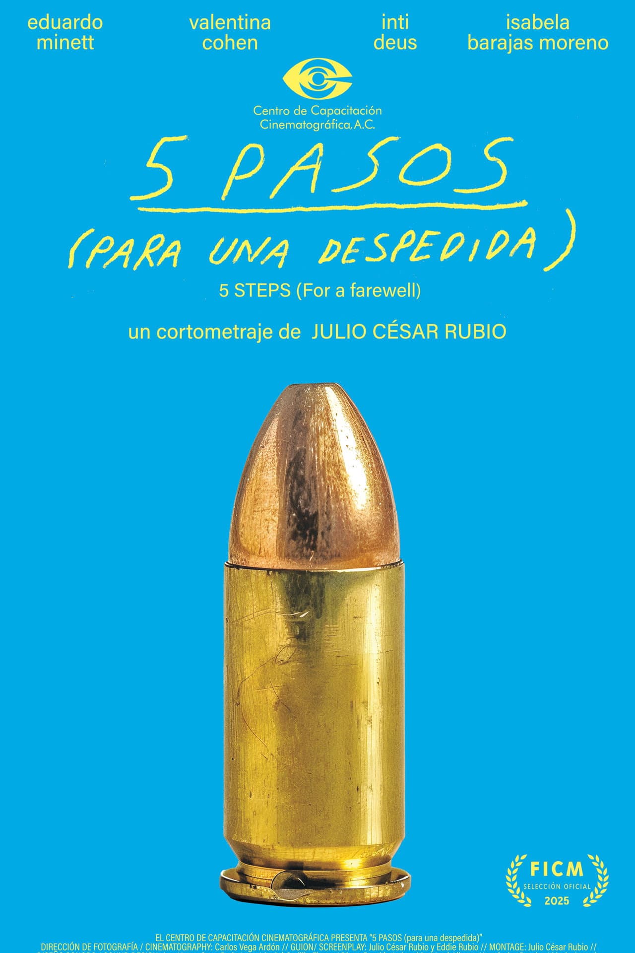 5 PASOS (para una despedida) preview 1