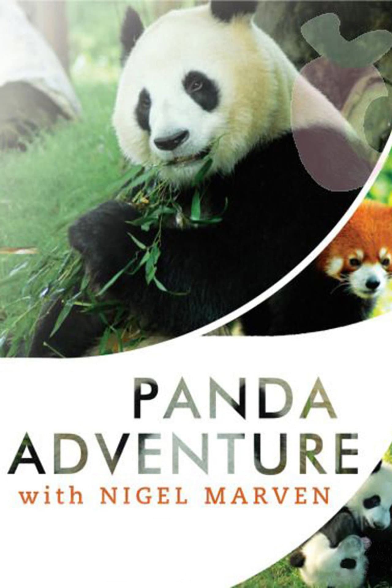 Panda Adventure with Nigel Marven preview 2