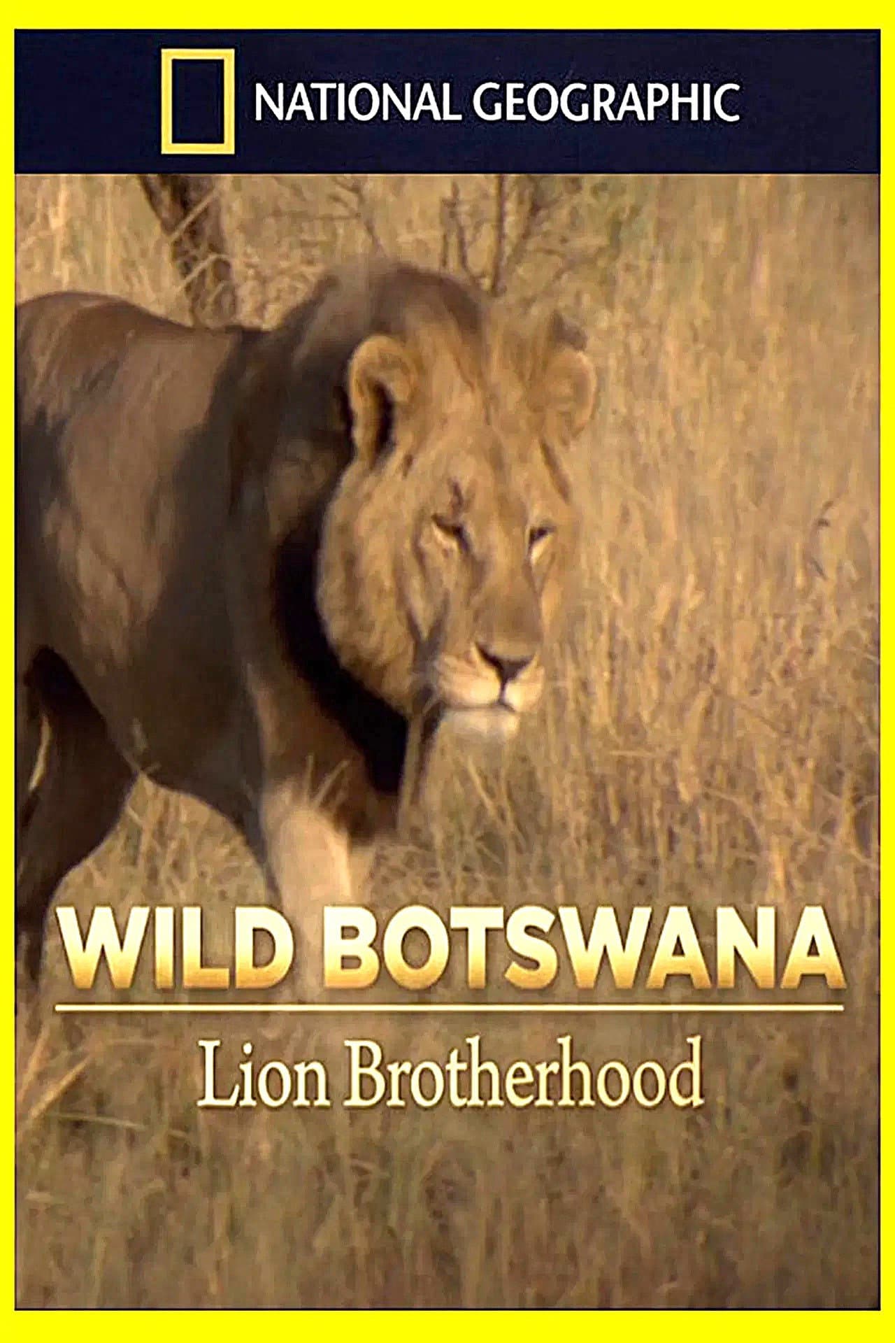 Lion Brotherhood preview 2