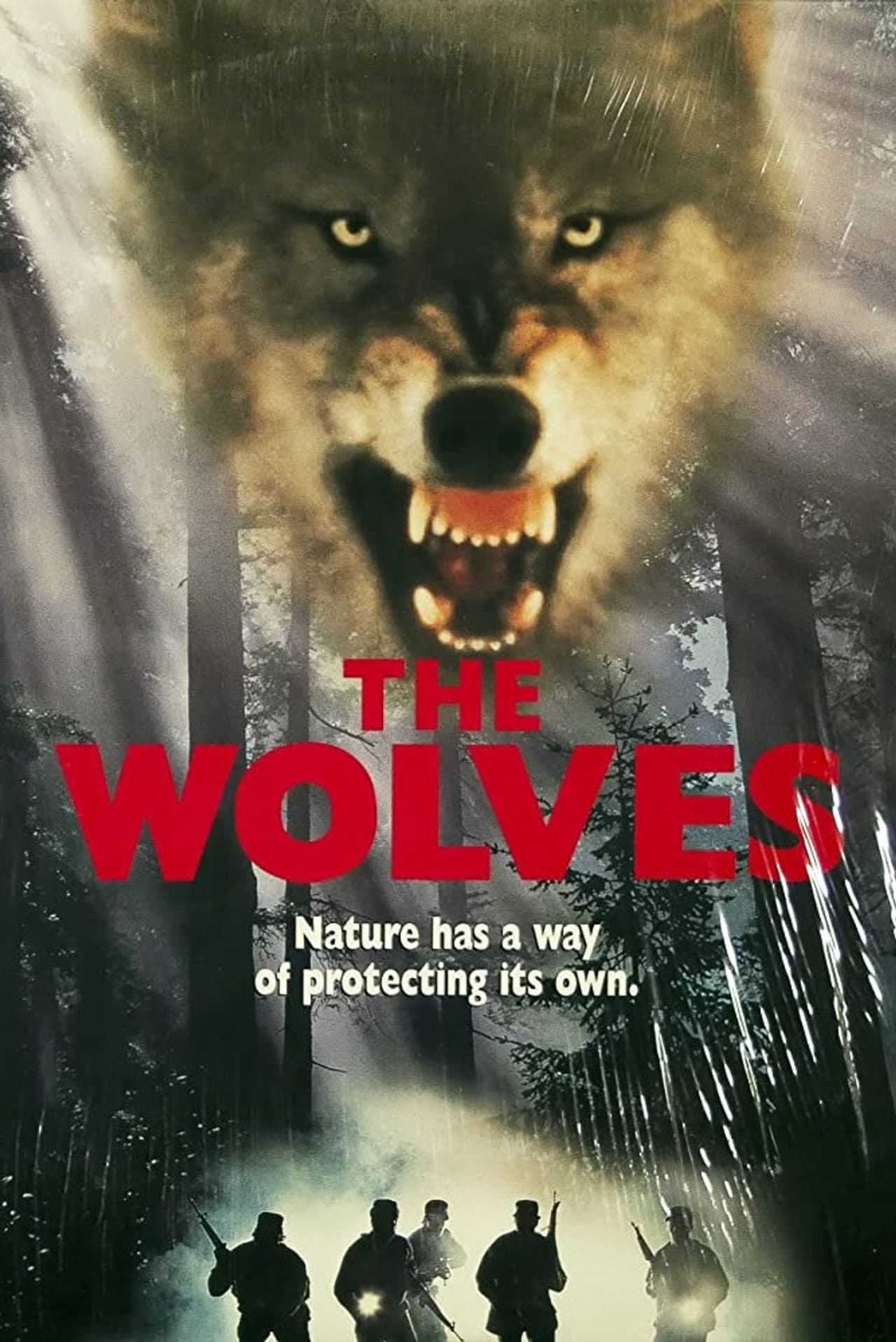 The Wolves preview 1