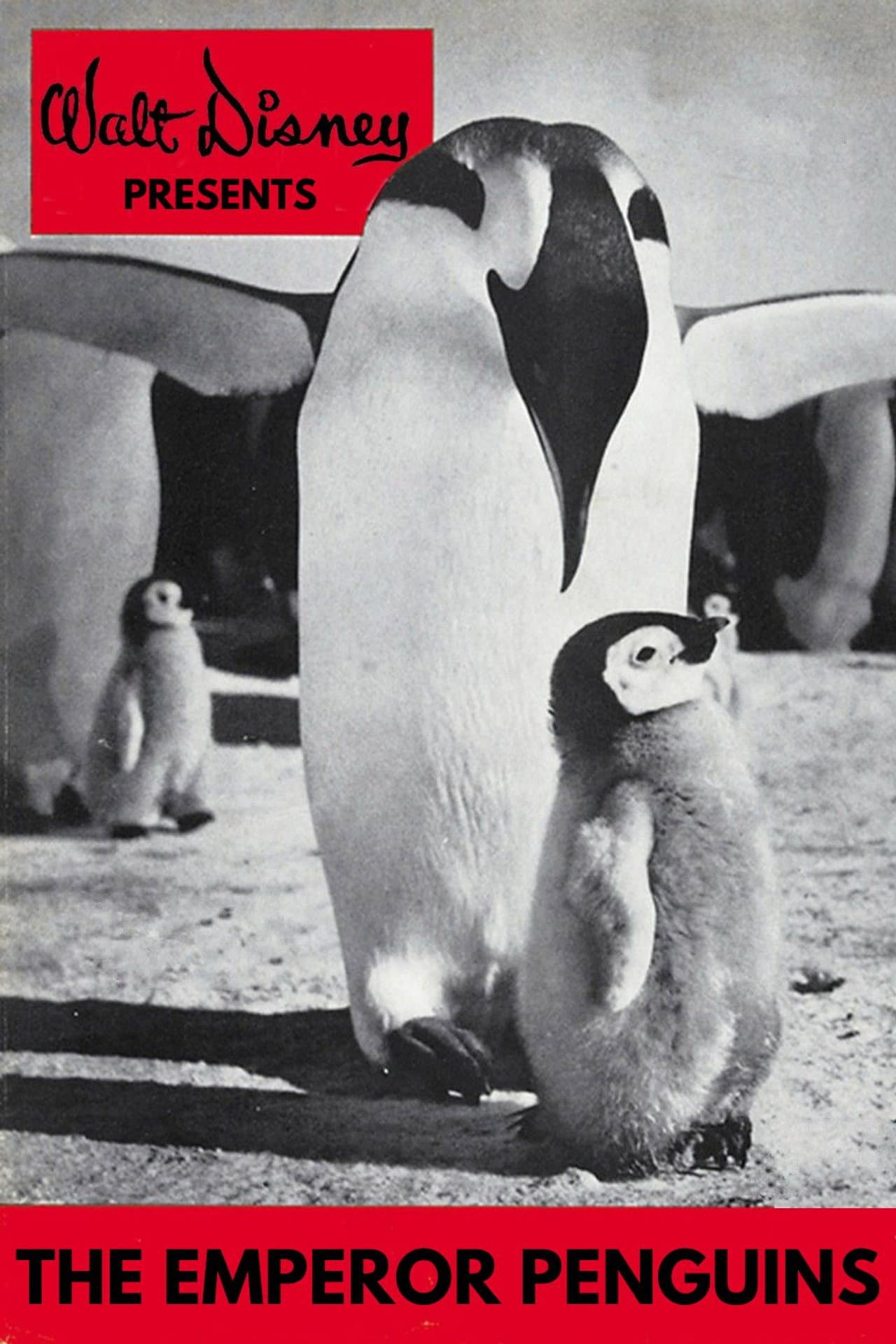 Emperor Penguins preview 1