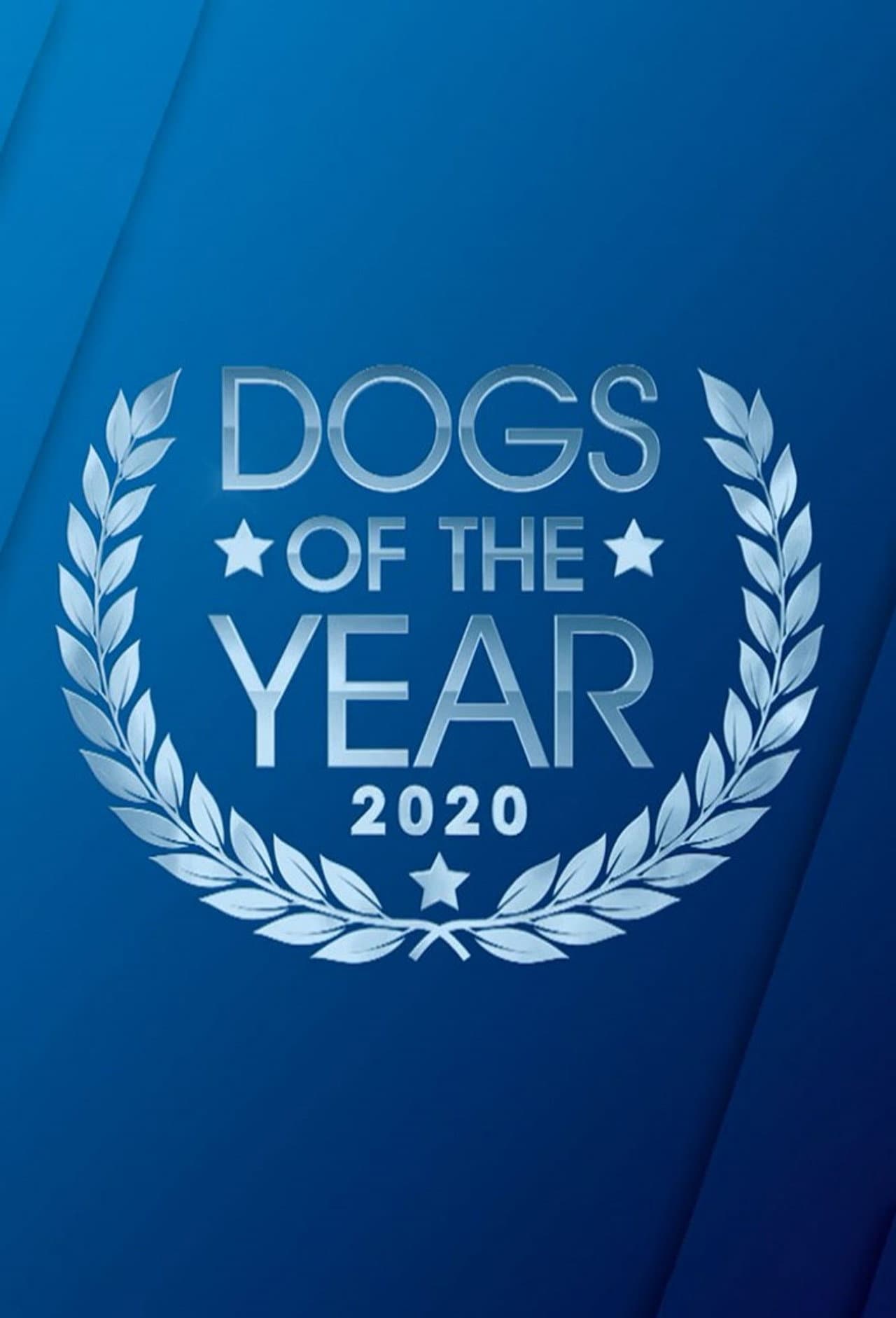 Dogs of the Year preview 2