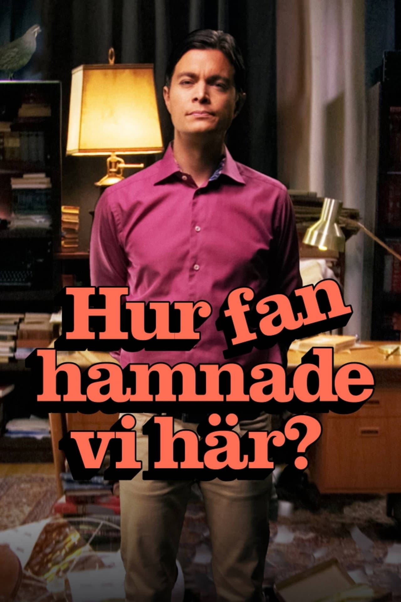 Hur fan hamnade vi här? preview 2